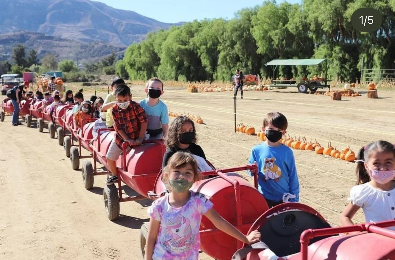 A group of children sitting in a long red wagon, waiting on a farm, with pumpkins arranged along the ground. Children are wearing face masks and casual clothing, and the background features trees, mountains, and farm equipment.