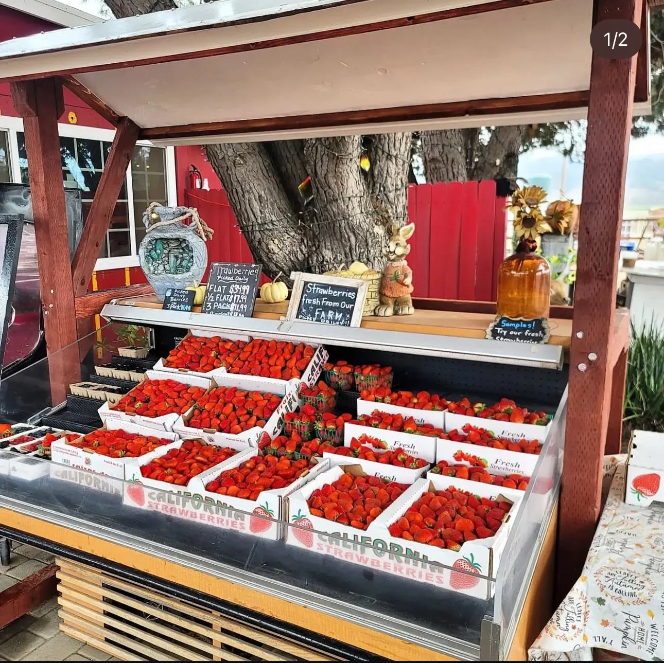 Fresh strawberries displayed in white boxes at a farmers market stand with signs indicating prices and origin, set under a wooden canopy.
