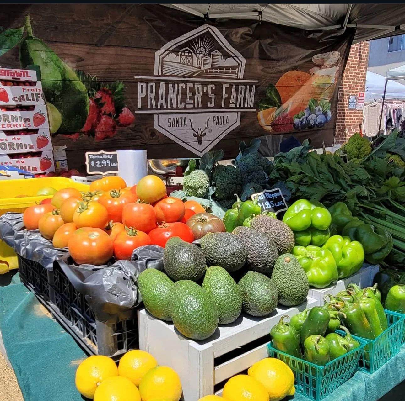 Fresh tomatoes, avocados, green peppers, and lemons on display at a farmers market stall with a sign that reads 'Prancer's Farm, Santa Paula' in the background.