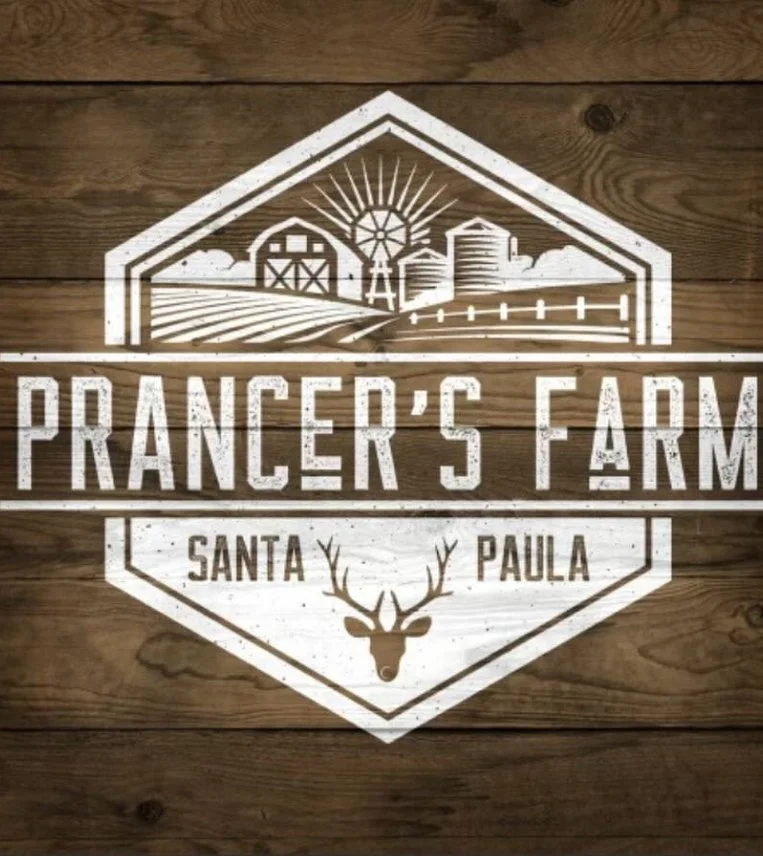 Prancers Farm Pumpkin Patch