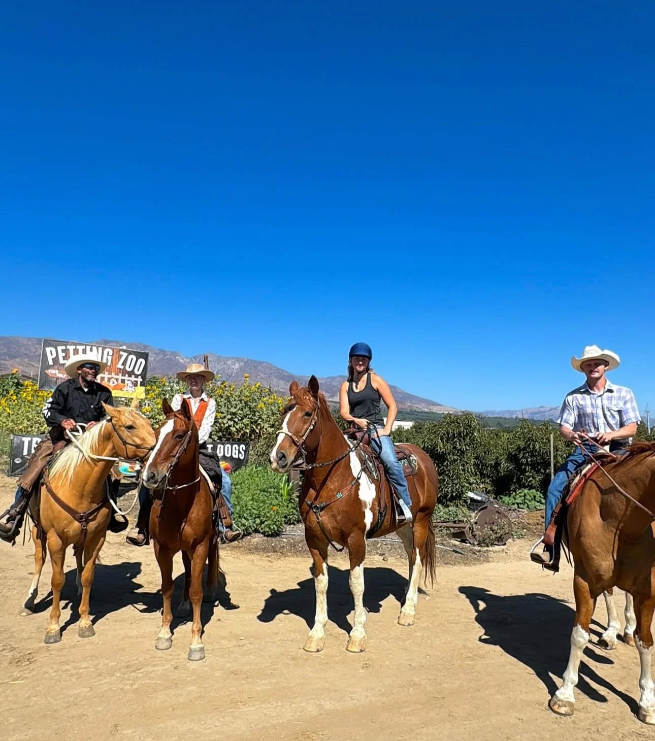 Four people riding horses on a dirt path at a petting zoo, with a sign in the background reading 'Petting Zoo' and mountains in the distance under a clear blue sky.