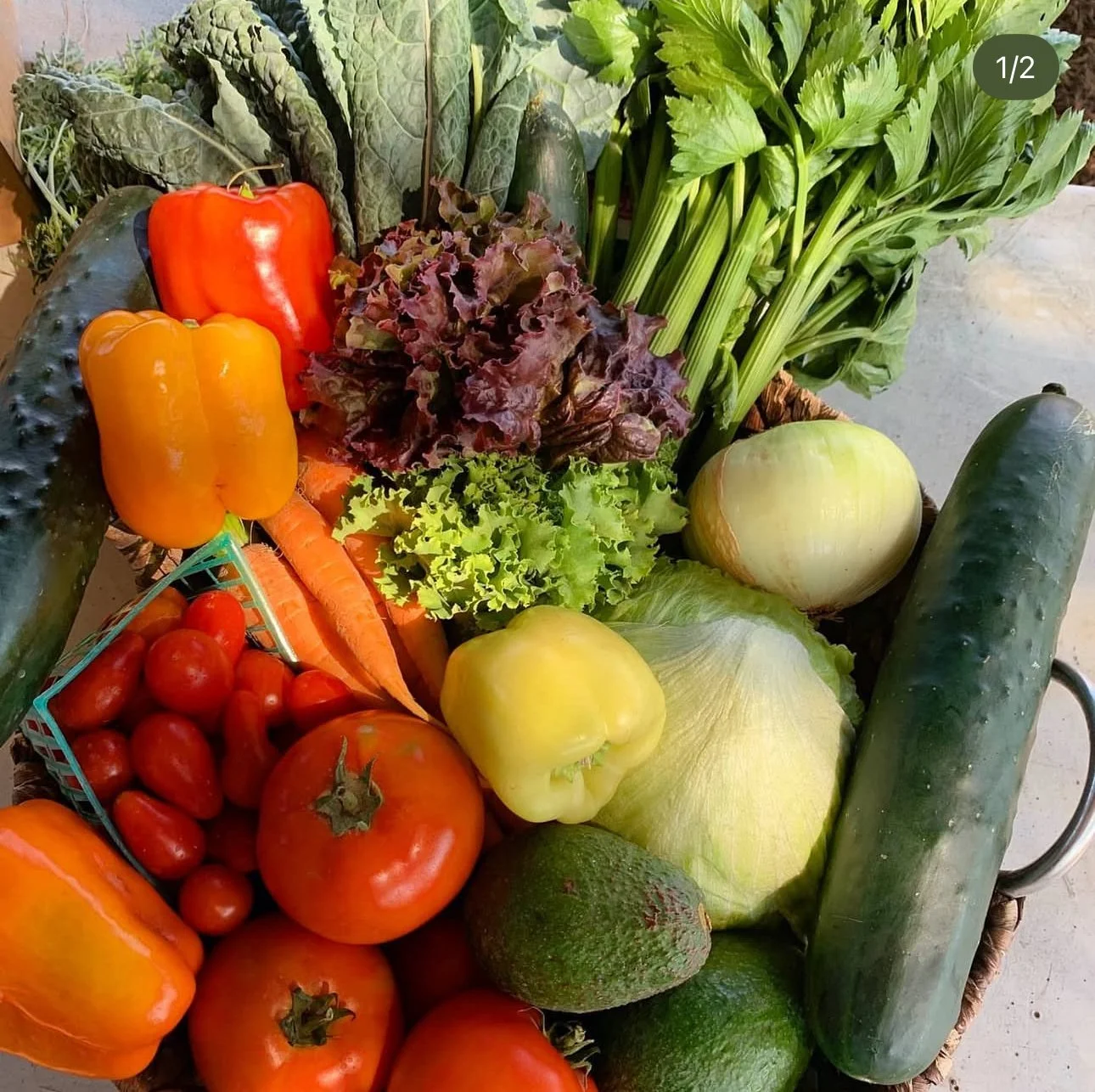 A basket filled with fresh vegetables, including tomatoes, bell peppers, carrots, cucumbers, lettuce, red leaf lettuce, green onion, poblano peppers, and zucchini.