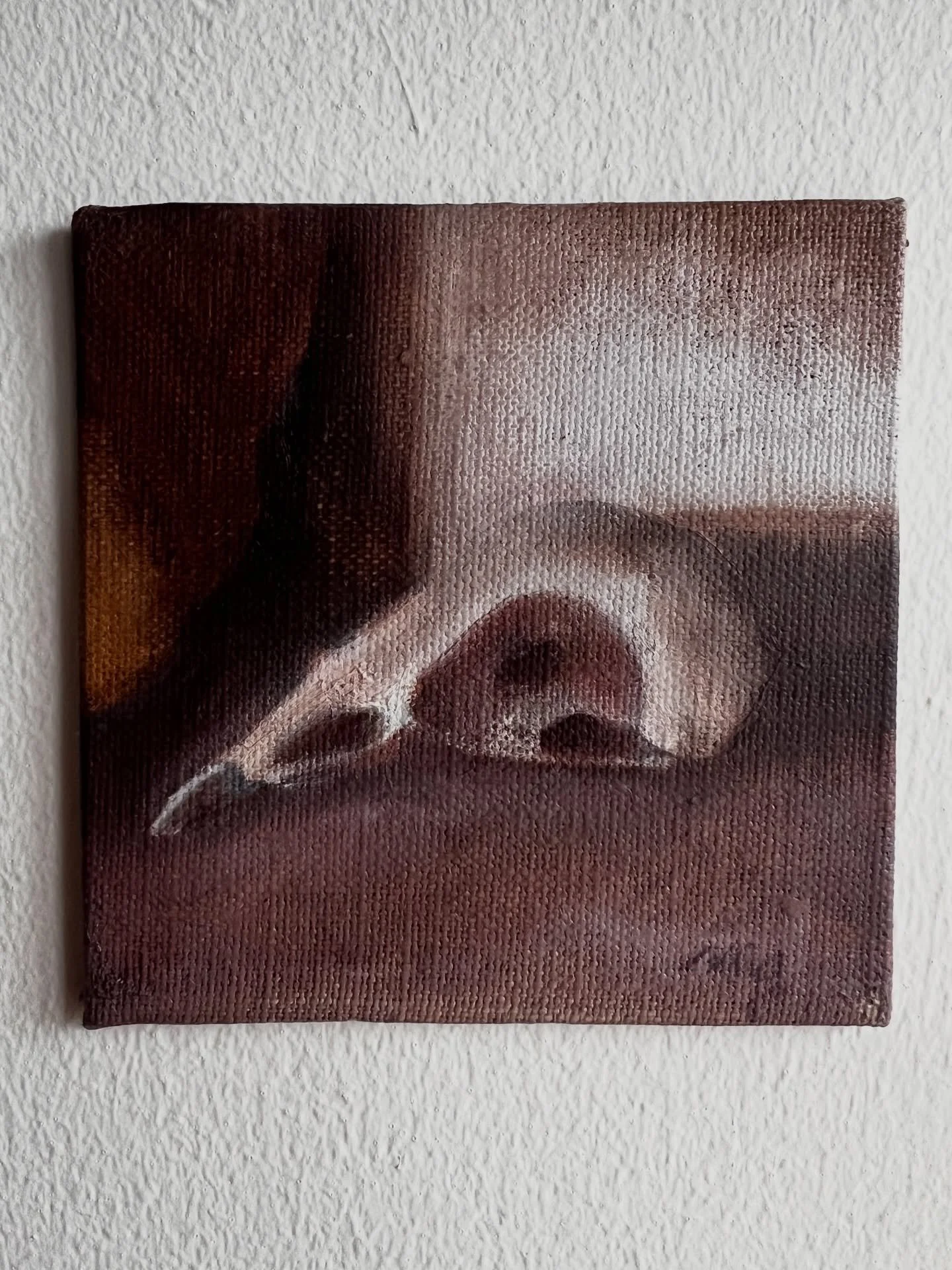 magpie study, oil painting on linen, 2026 

#contemporary #contemporarypainting #contemporarystilllife #contemporaryart #birdpainting