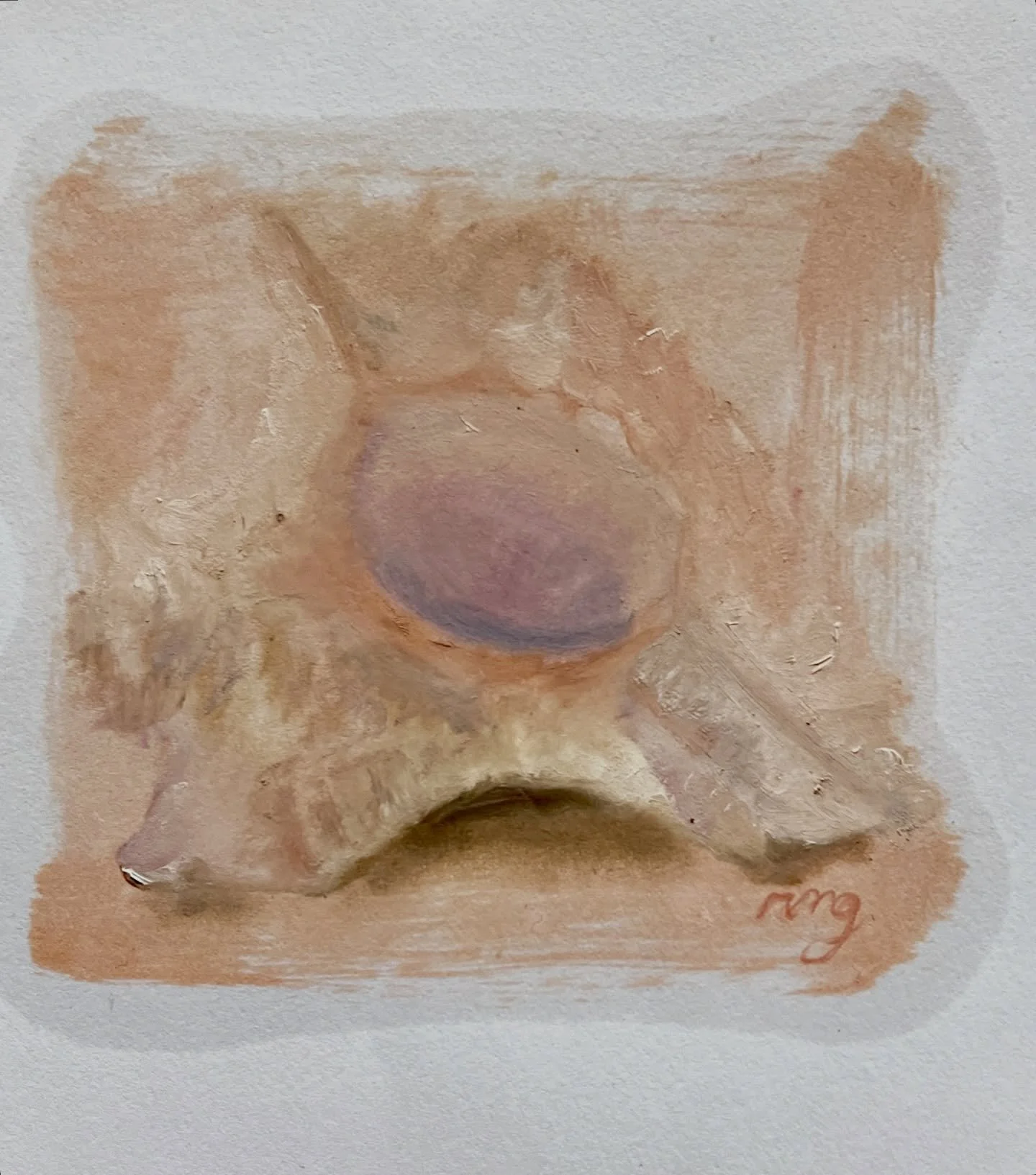 exploring feminine form through shells, talking endlessly about shape, identity, light, skin, colour, sand, home. @andreasamato and I can cycle endlessly from idea to the next, gently encouraging exchanging and following each others pictorial vision.