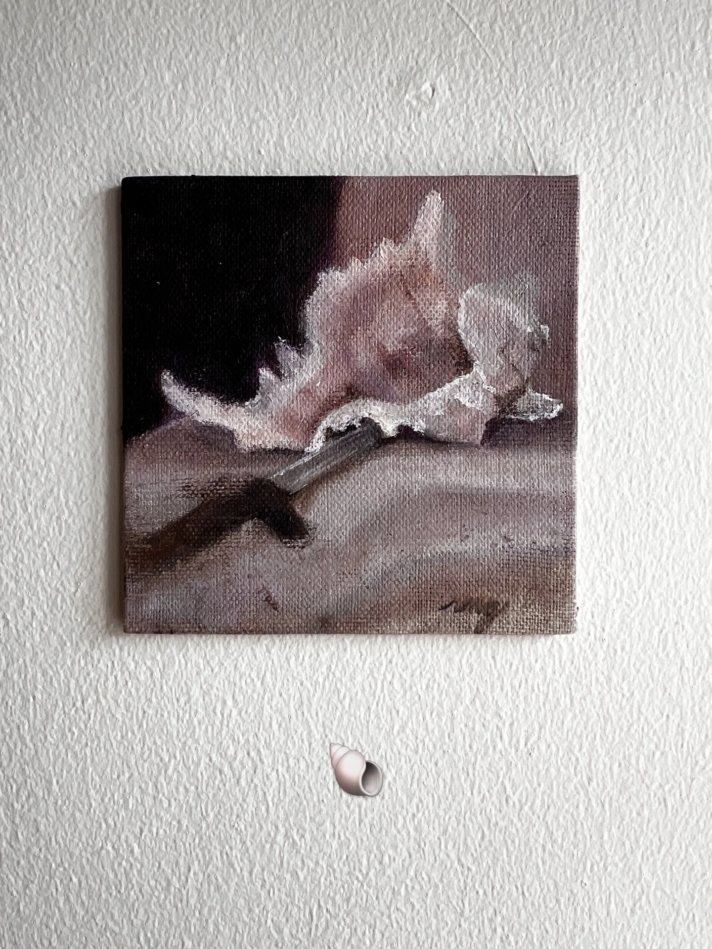 Study of a queen conch shell with a dagger, 10cm x 10cm, oil painting on a linen board 

the practice of setting up a still life comes with such urgent intention, i truly love to curate a collection of items, sometimes I will work from colours, mimic