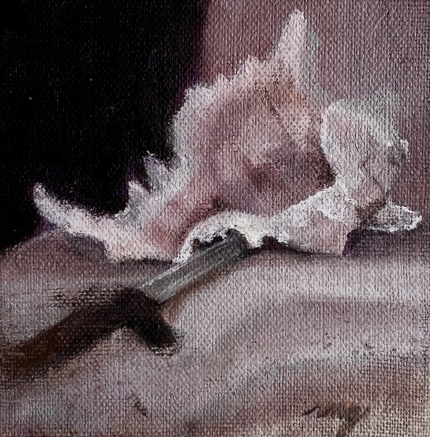study of.a queen conch shell with a dagger