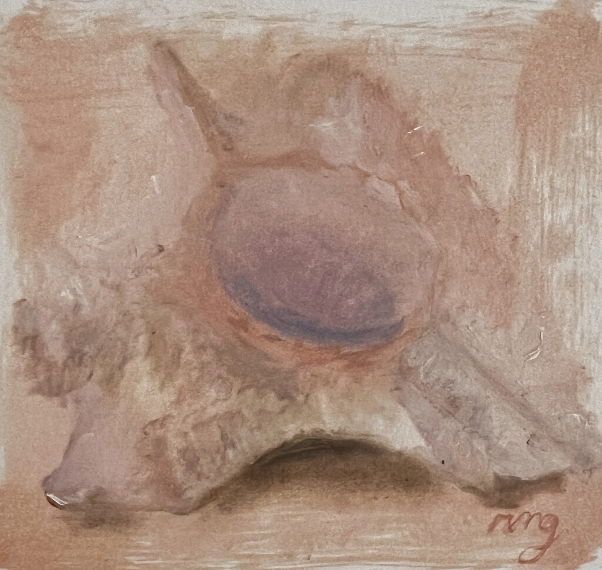 study of a queen conch shell II