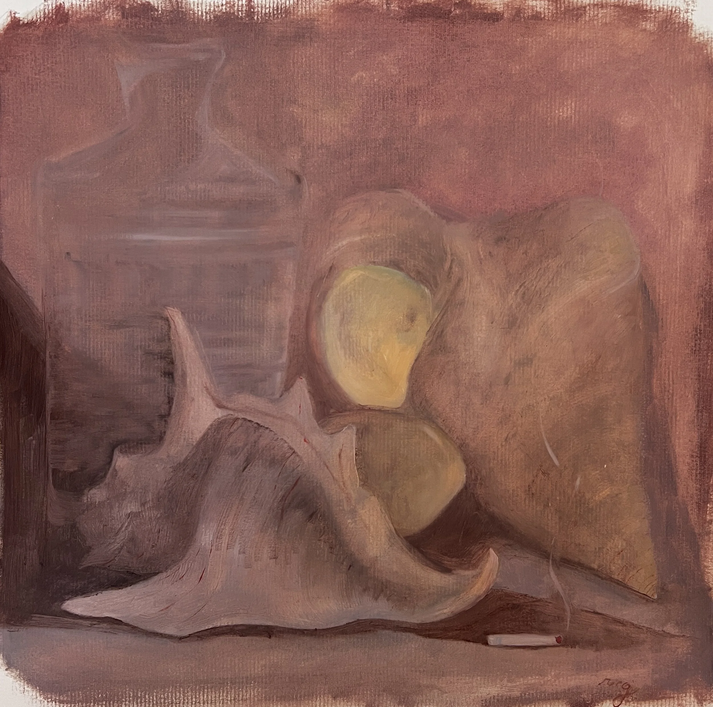 still life study, queen conch shell and glass vase 