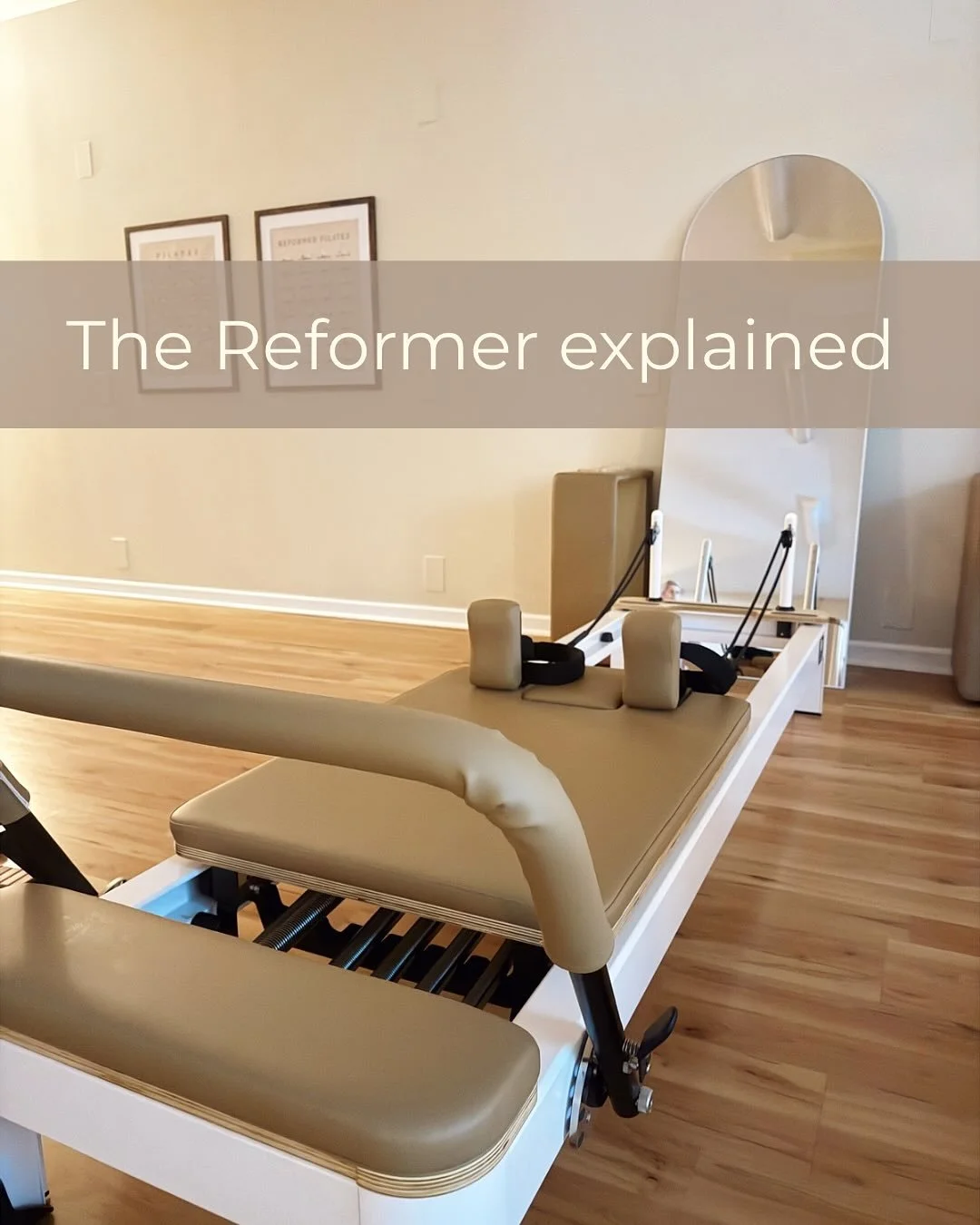 Get to know our reformers 🤎