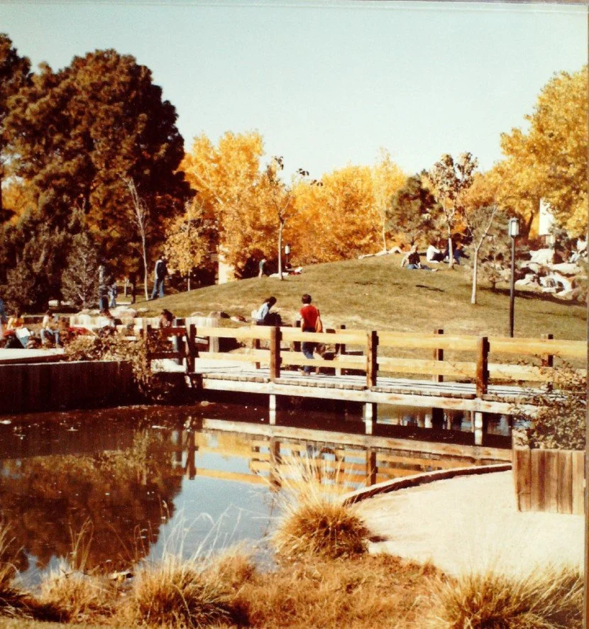 Park with people walking and sitting on grass, colorful autumn trees, a small pond with a wooden bridge, and decorative grasses.