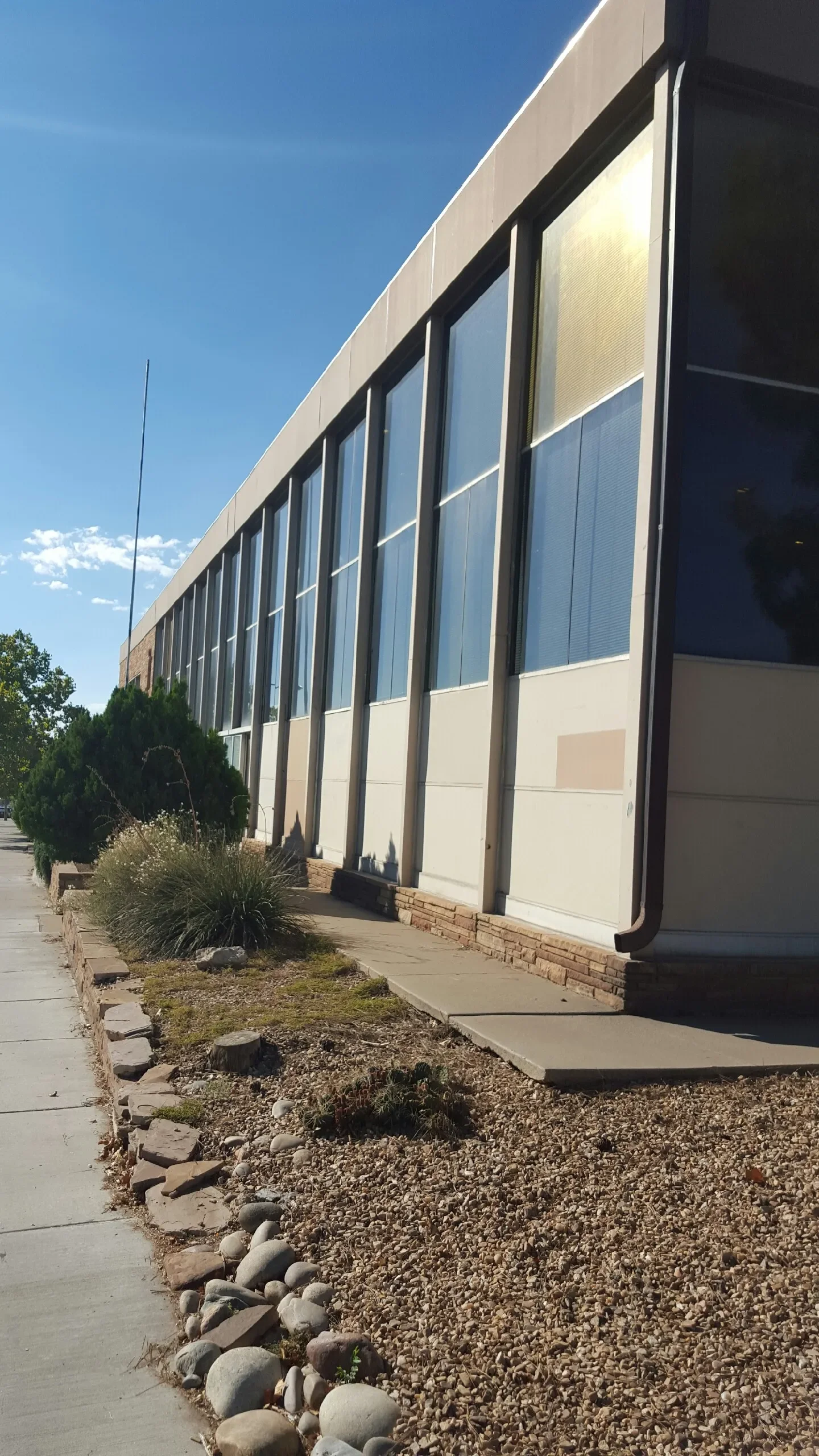 A building with large windows, a sidewalk in front, and landscaping with bushes and rocks along the edge, under a clear blue sky.