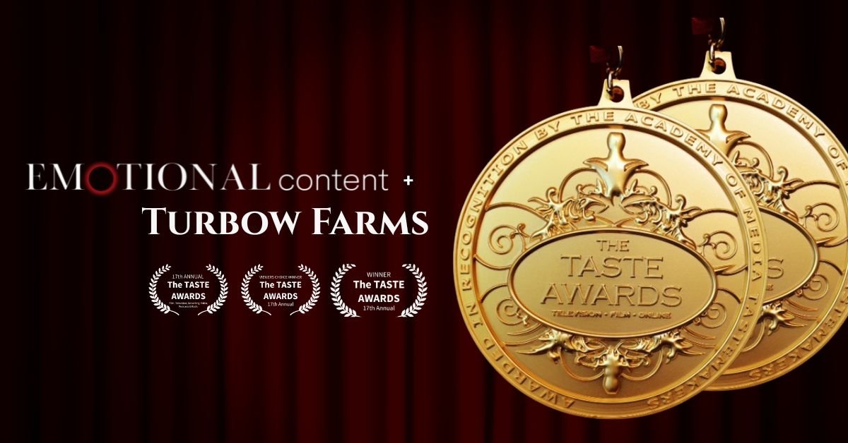 Emotional Content Productions Earns Taste Awards Recognition for Story-First Video Strategy