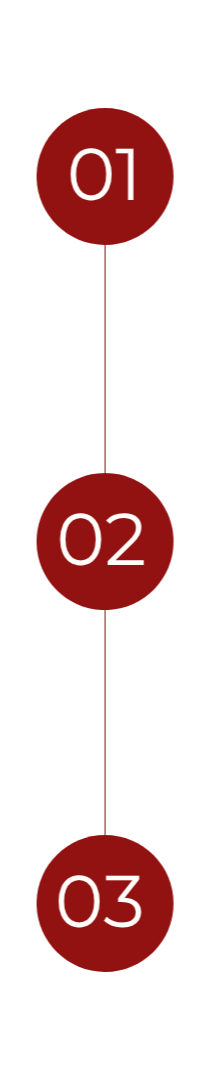 A vertical timeline with three maroon circles numbered 01, 02, and 03 connected by lines.