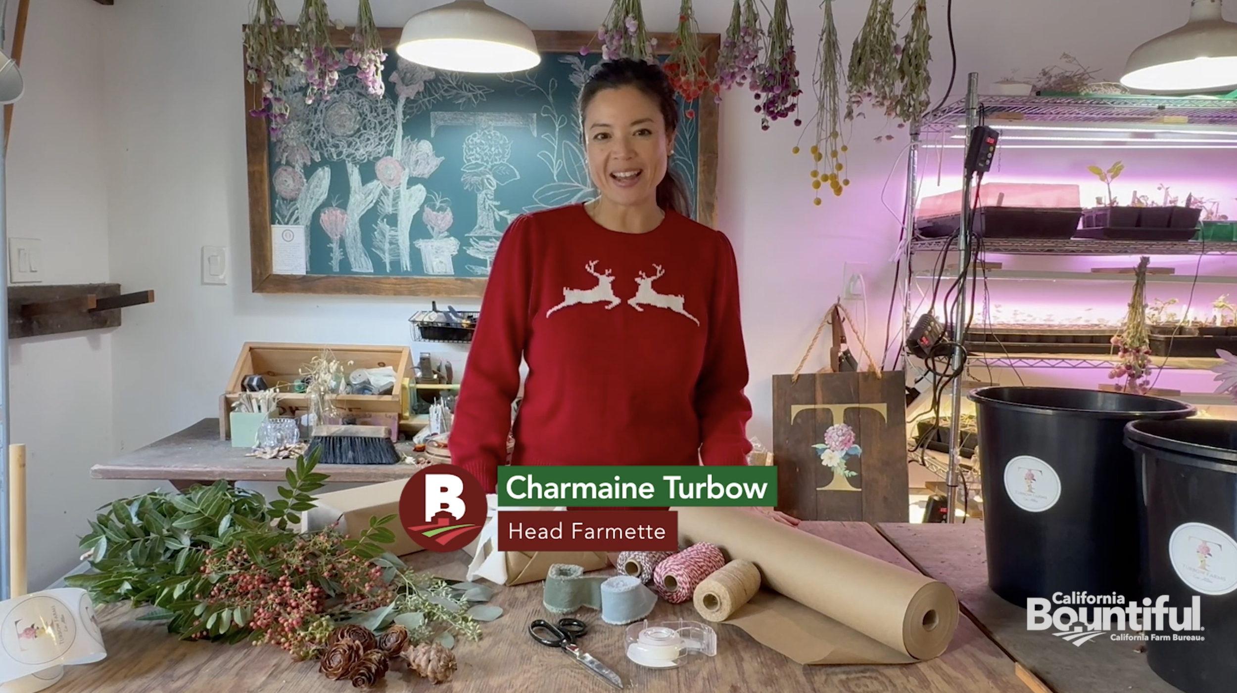 Screenshot 2024-12-05 at 2.18.46 PM.png