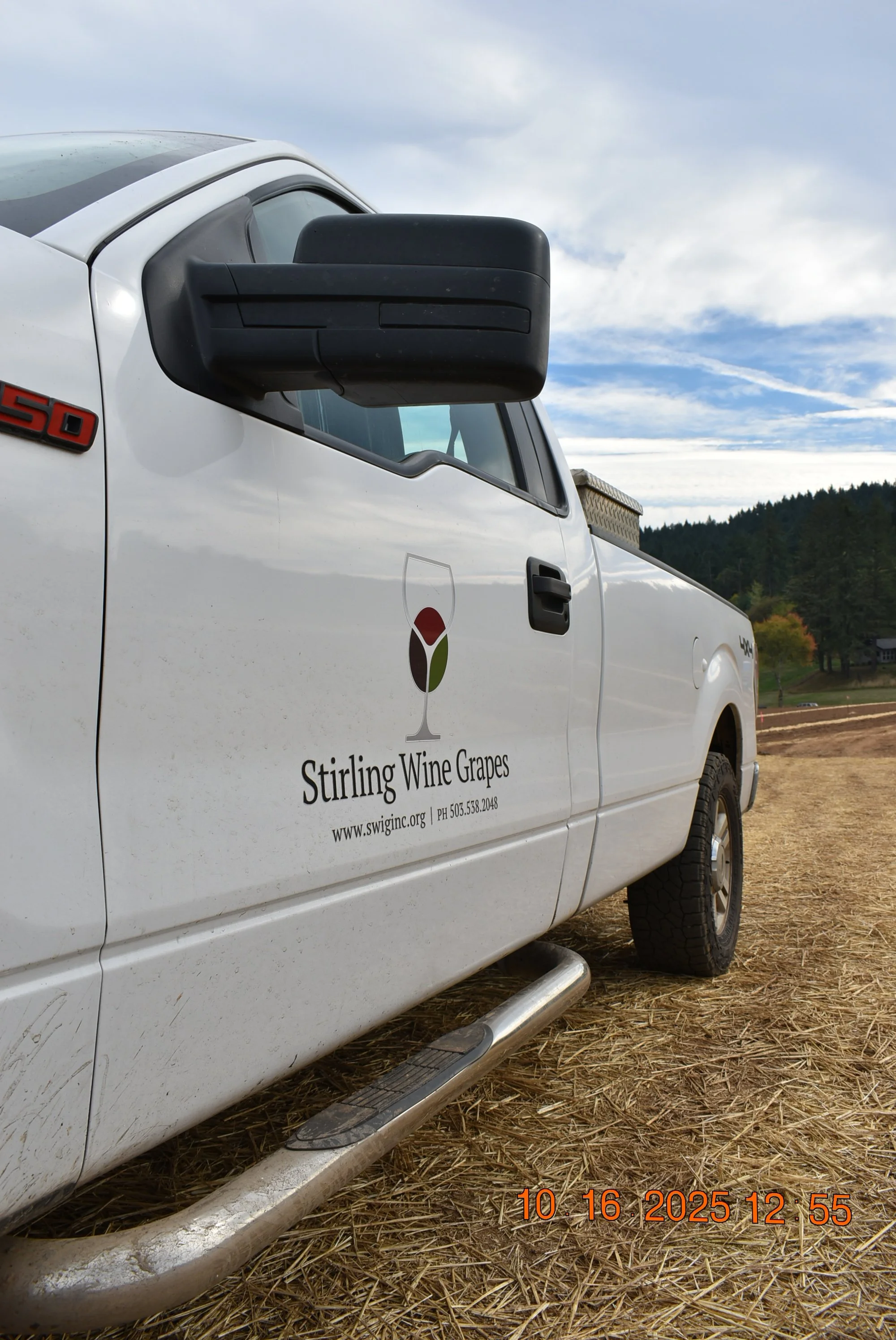 stirling wine grapes truck - showing logo at vineyard