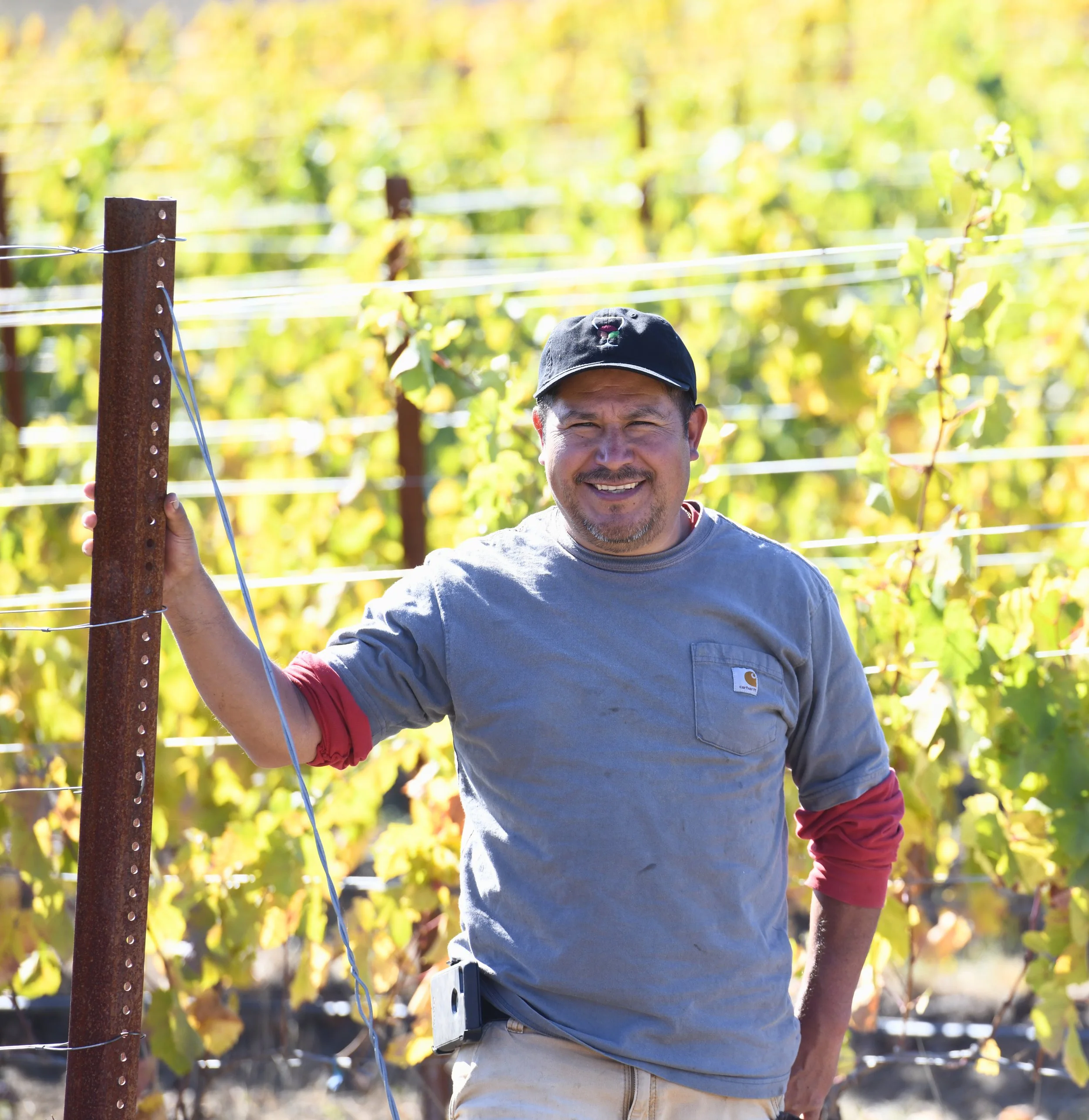 Juan Cruz the operations manager of Stirling Wine Grapes (SWiG)