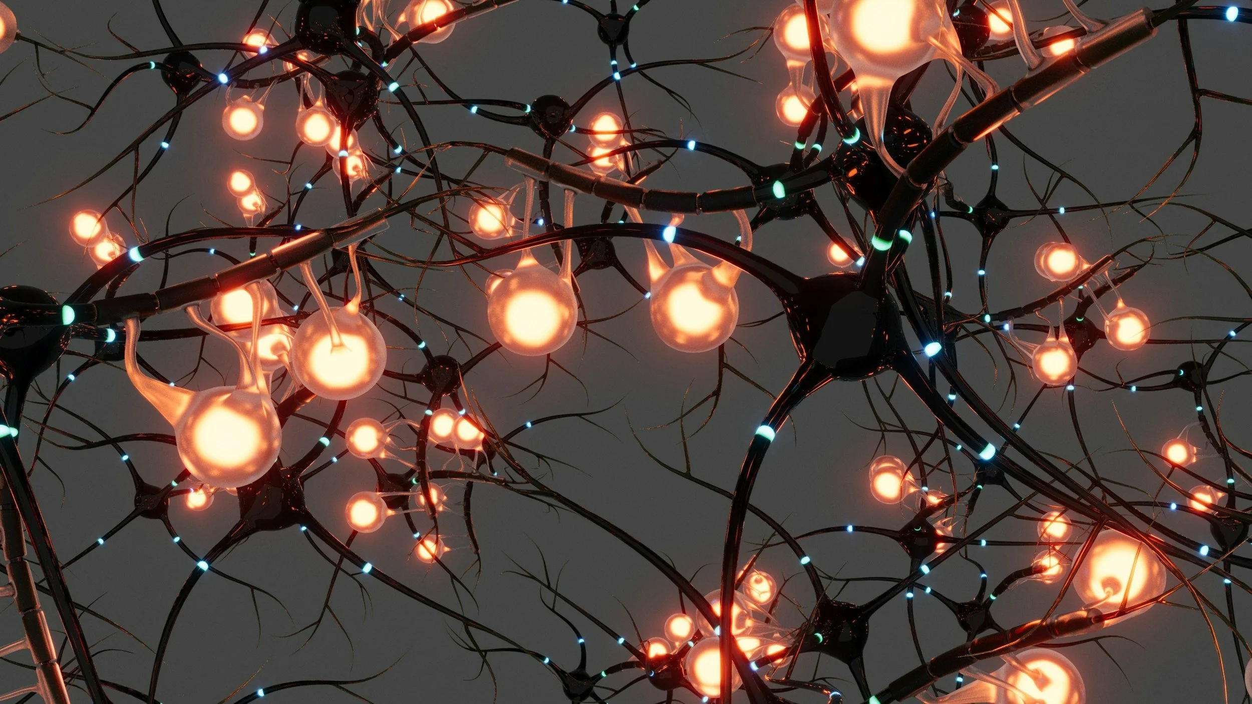 The Neuroscience of Trauma: How Somatic Therapy Rewires the Brain.