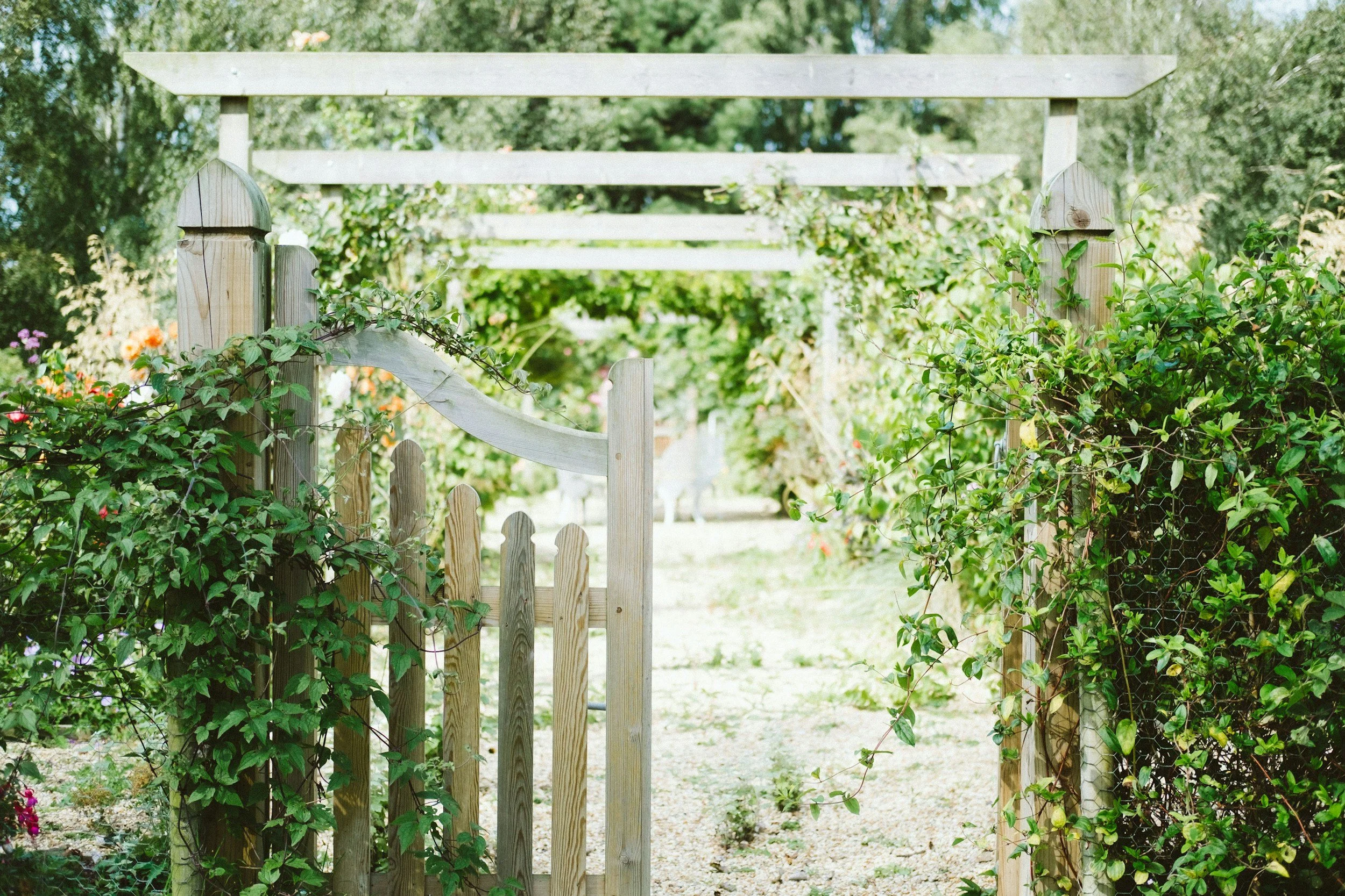 An open wooden gate surrounded by overgrown plants and flowers