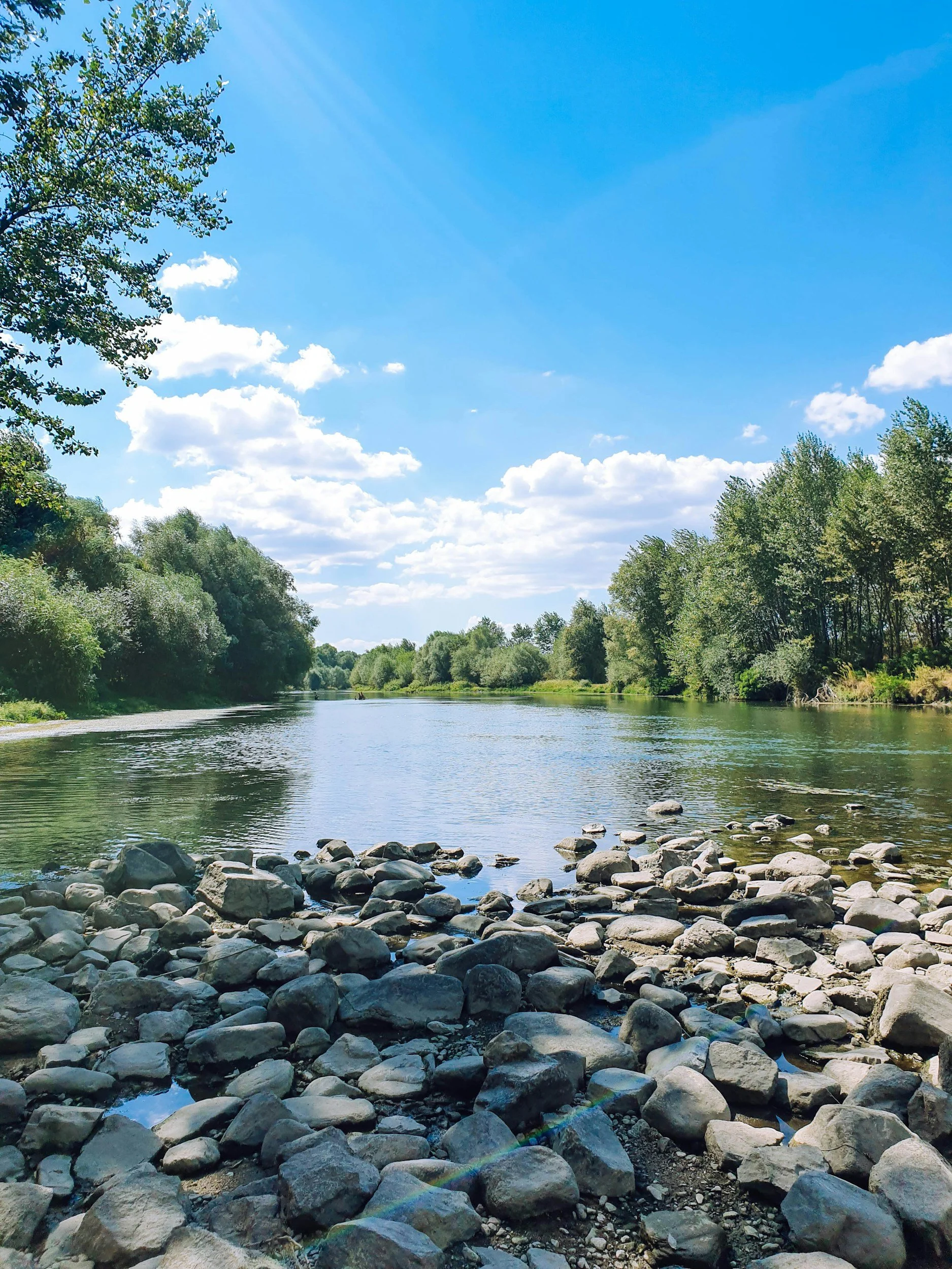 Rocks in the foreground, a calming river in the background with trees