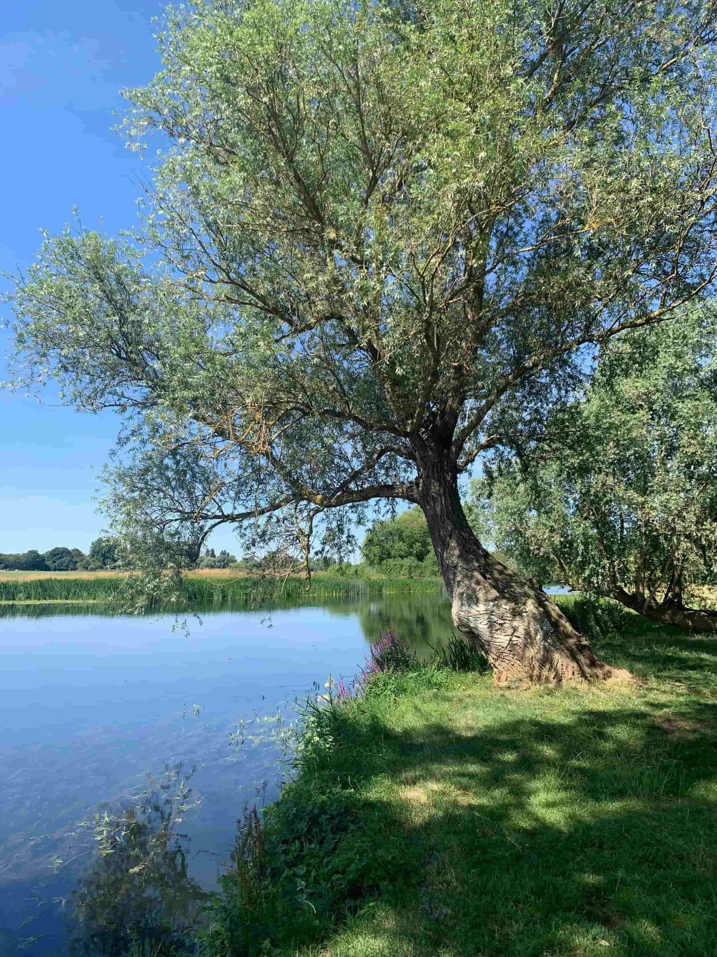River Ouse in St Ives, Cambridgeshire