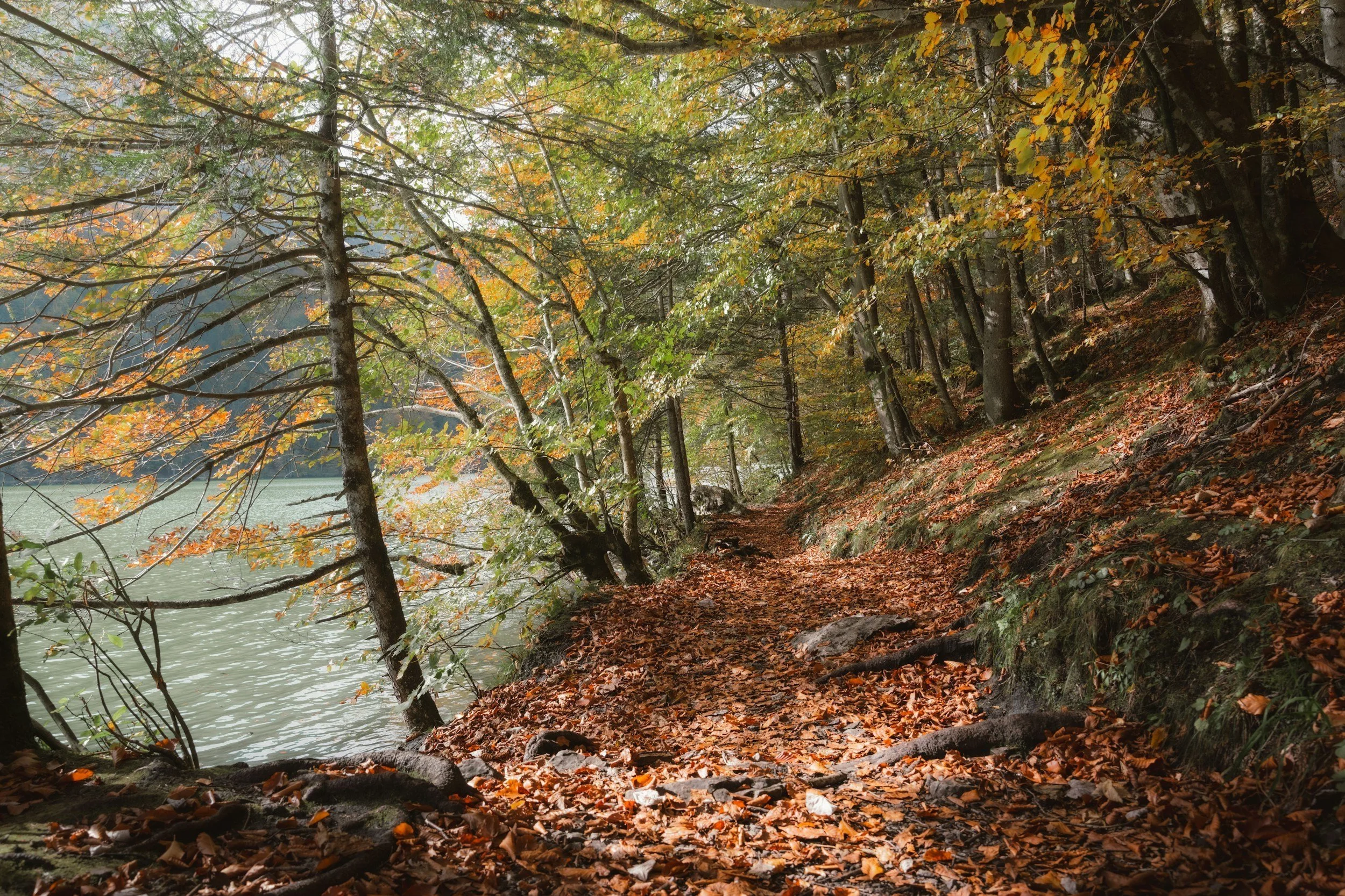 Somatic practices for balancing your hormones