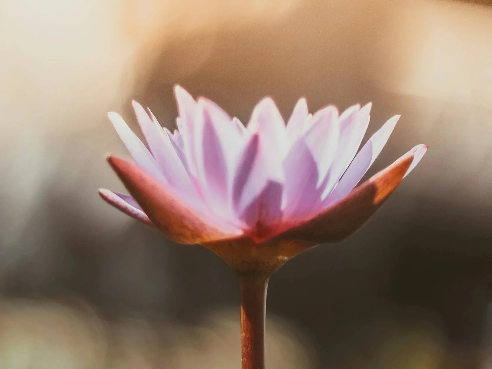 How Somatic Therapy Can Help You Heal from Trauma