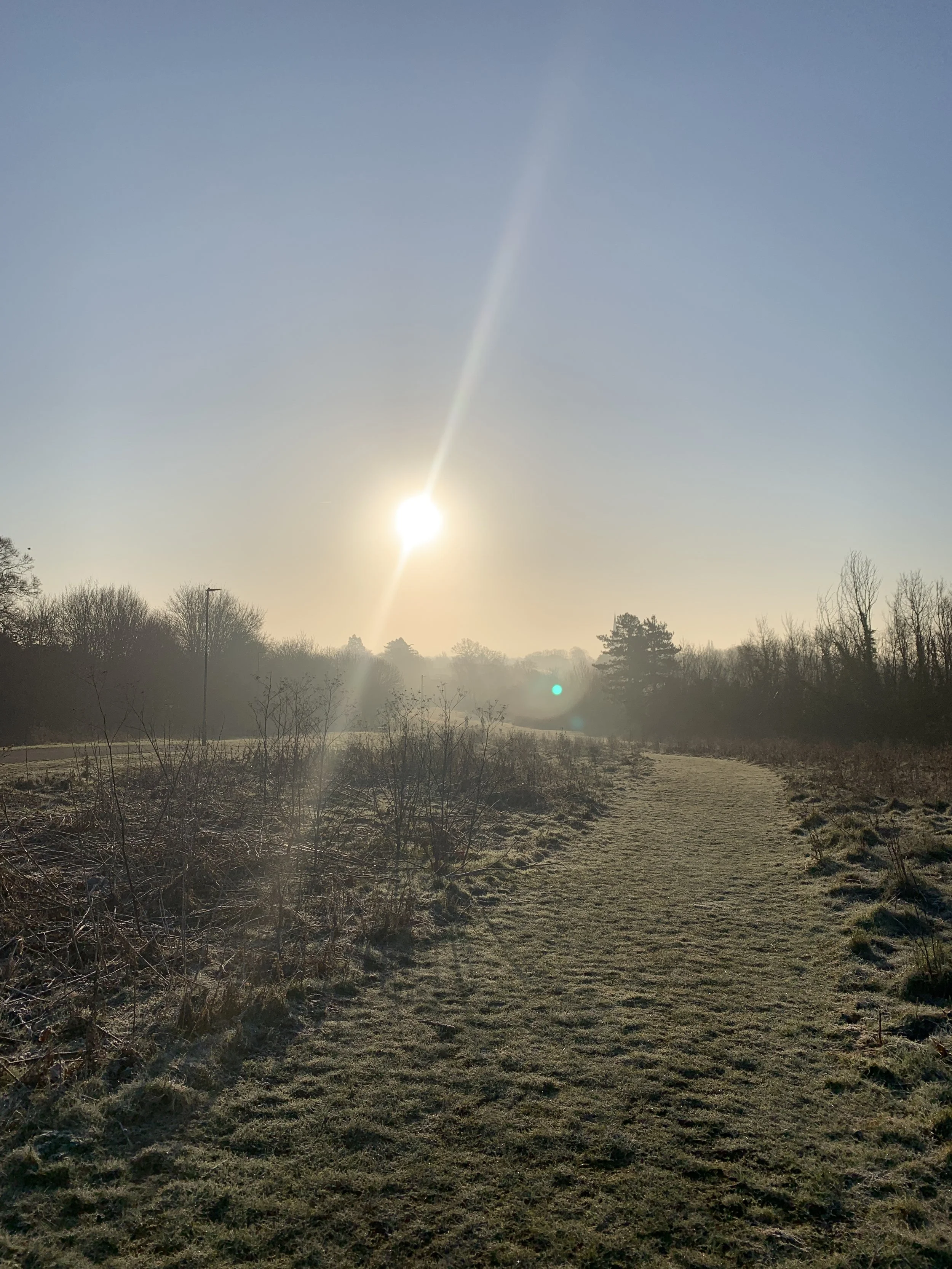 for mental exhaustion walk in nature