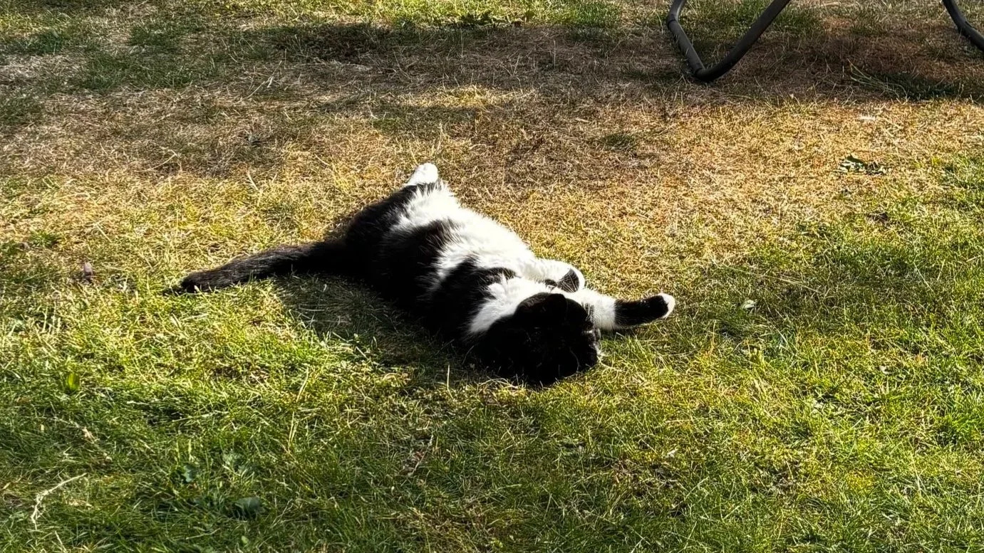 Radical Rest: Why Doing Nothing Is a Skill Worth Learning