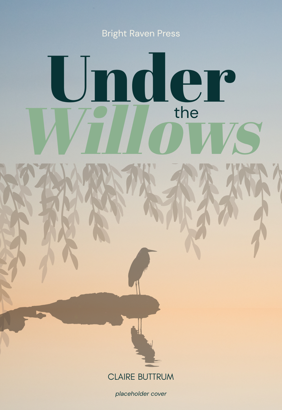 Book under the willows by Claire Buttrum cover placeholder