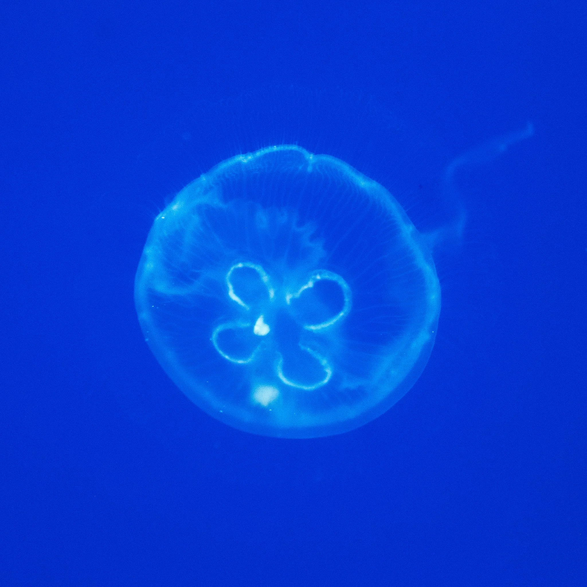 DSCF8214.jpg