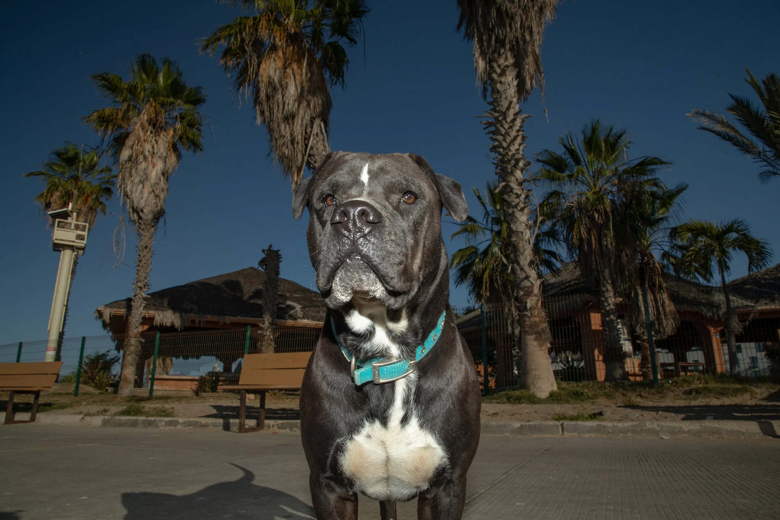 0G5A6218.JPG