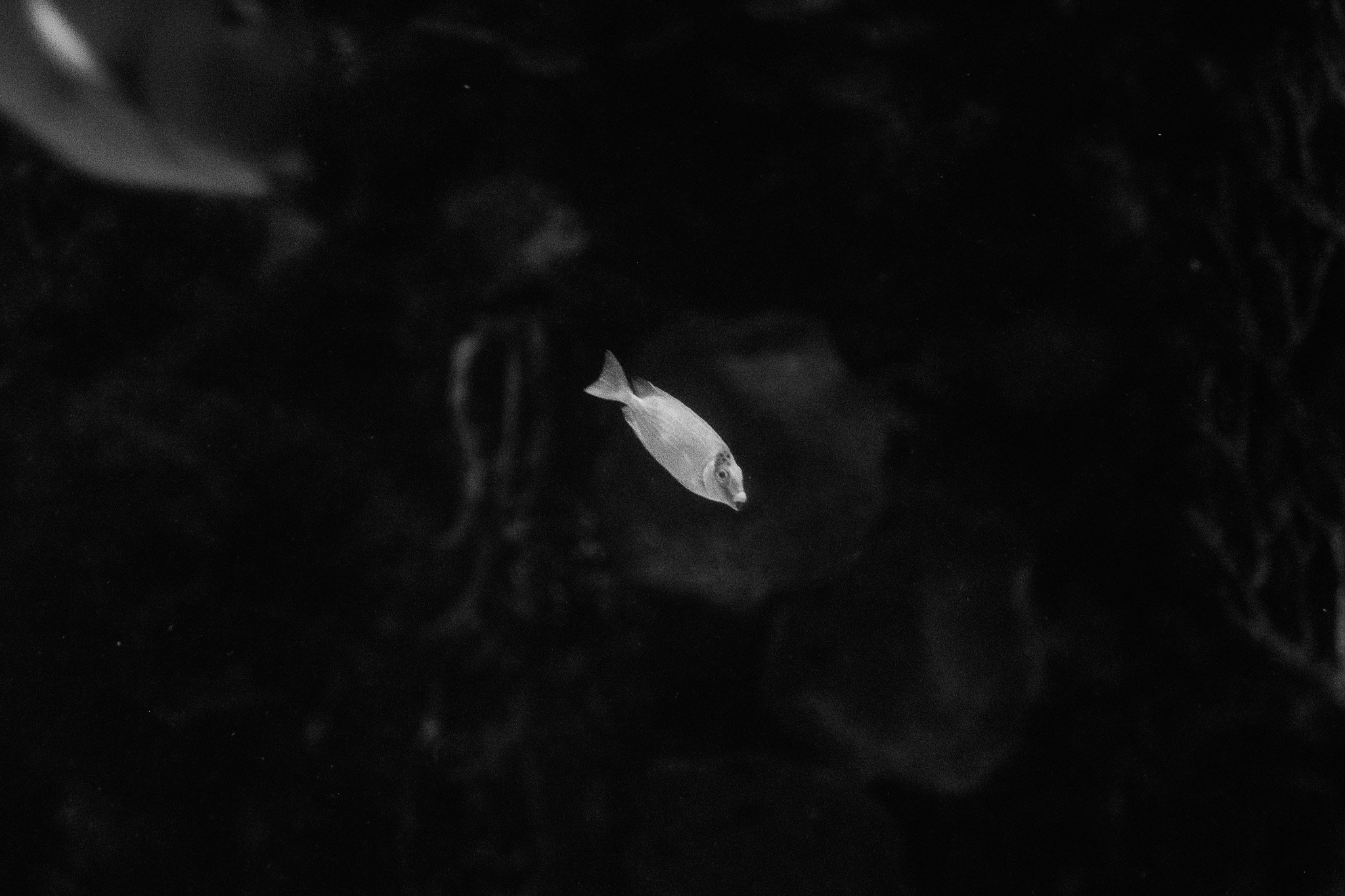 DSCF8160.jpg