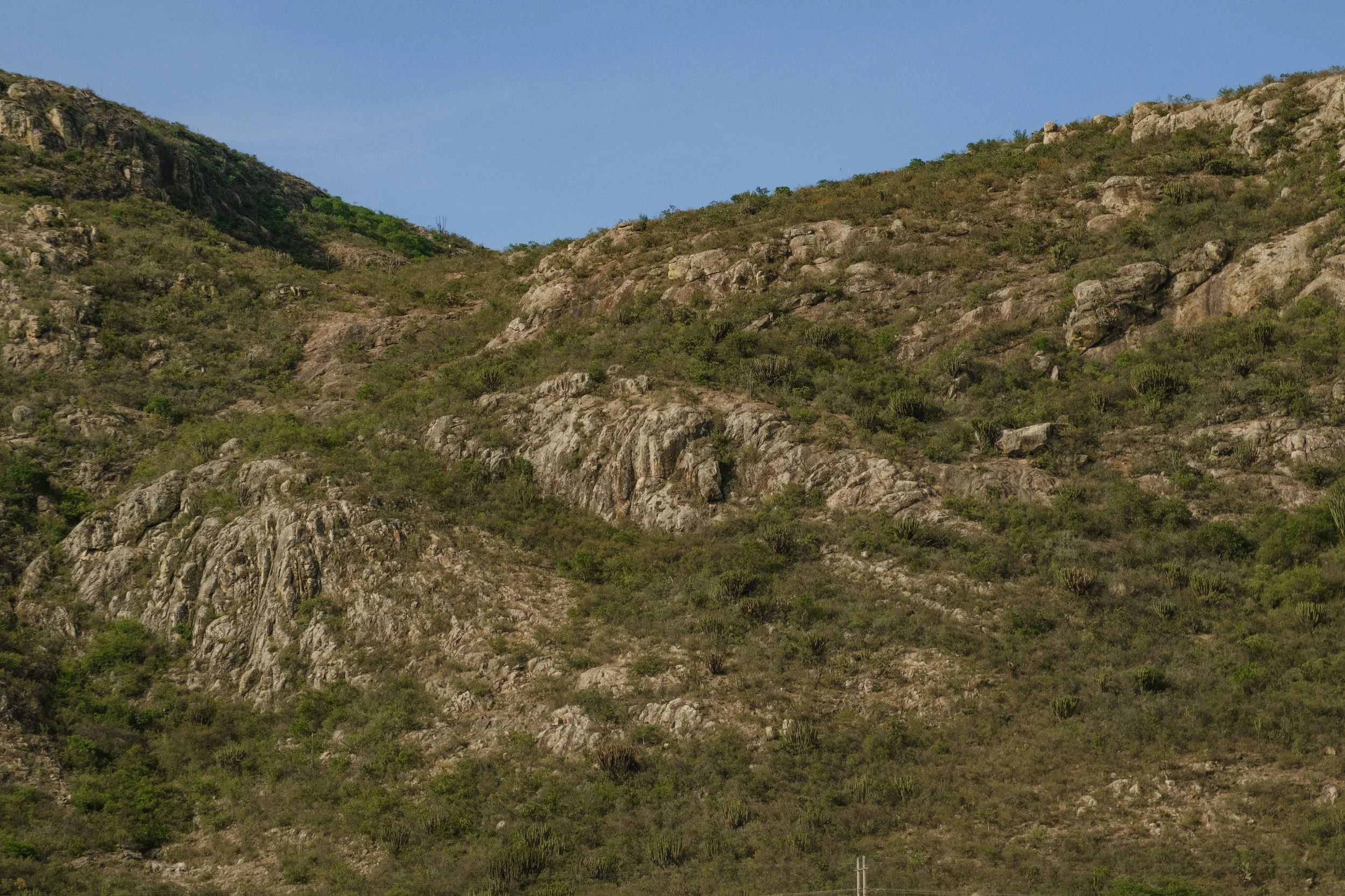 DSCF6542.jpg
