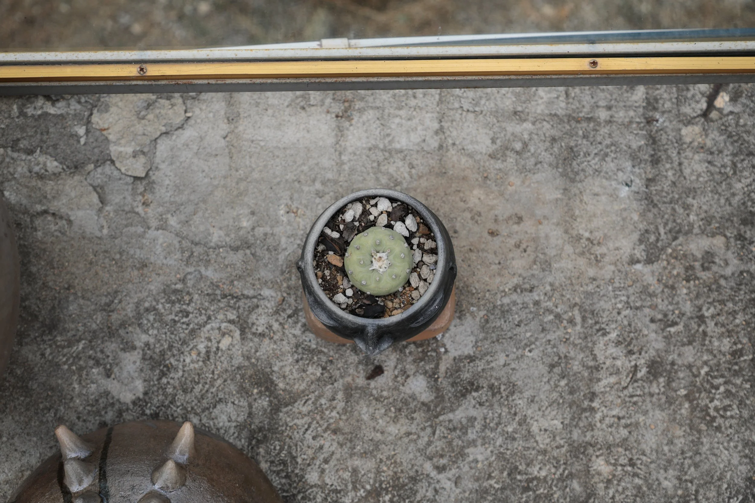 0G5A3880.JPG
