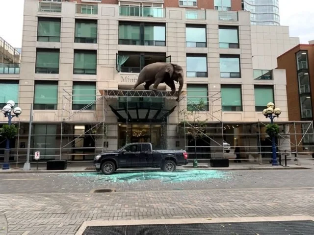 Built to take the weight.
Even an elephant-sized problem won&rsquo;t break our overhead protection.
Strength. Safety. Scaffold.ca