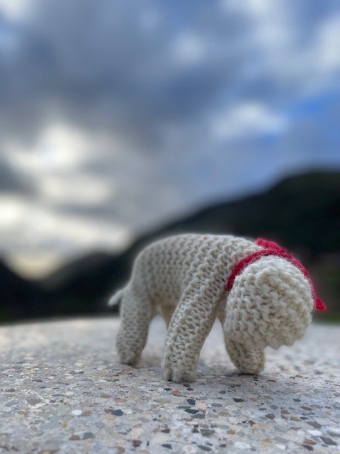 Honeybee Homeschool Enrichment Program 1 Day/Week