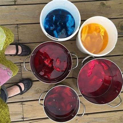 Discover the Rainbow - Natural Dye Course