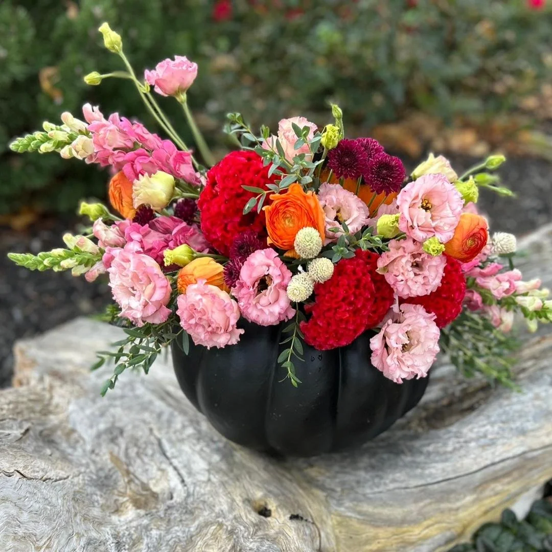 Kim - October 2024.jfif