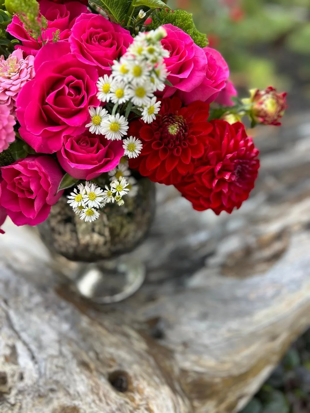 Anne Horton - August 2.jfif