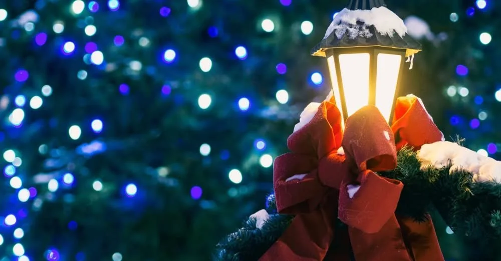 Support Disability Guerrillas this 2025 holiday season!