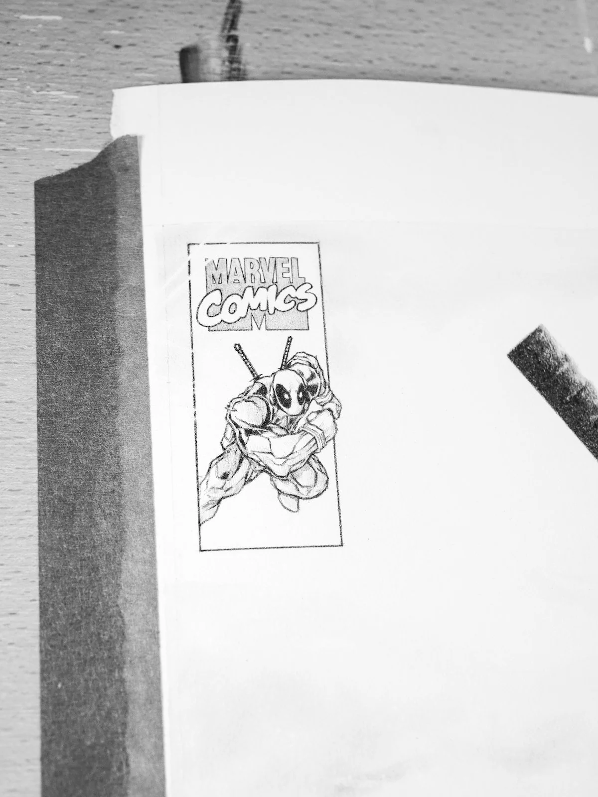 DSC08819 crop 1600.jpg