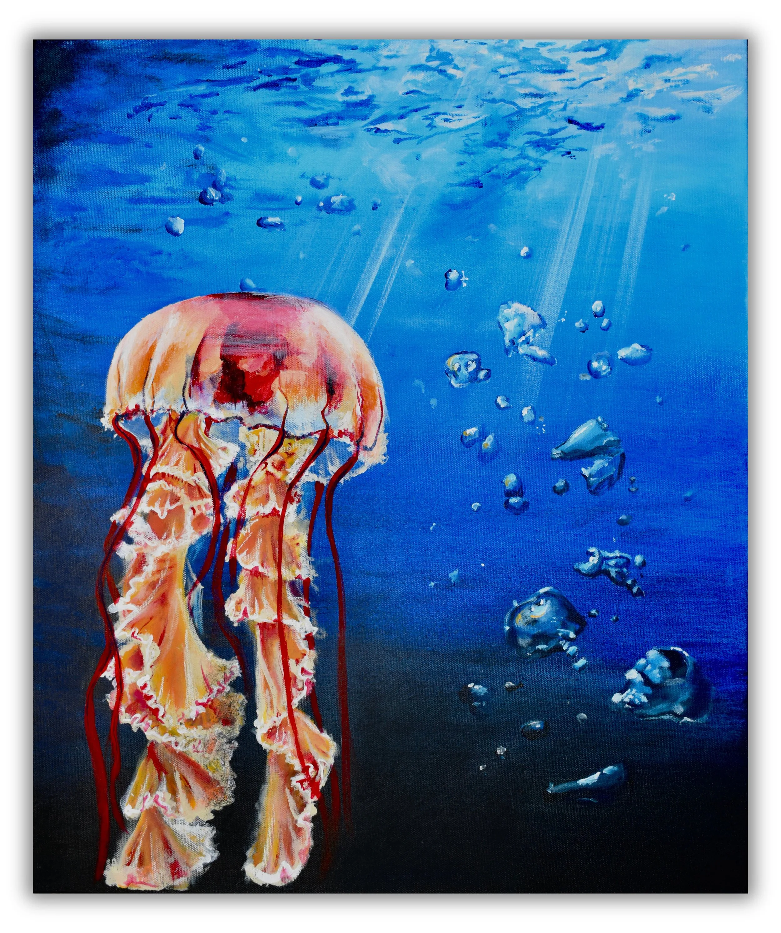 Lone Jelly (DS NB).jpg
