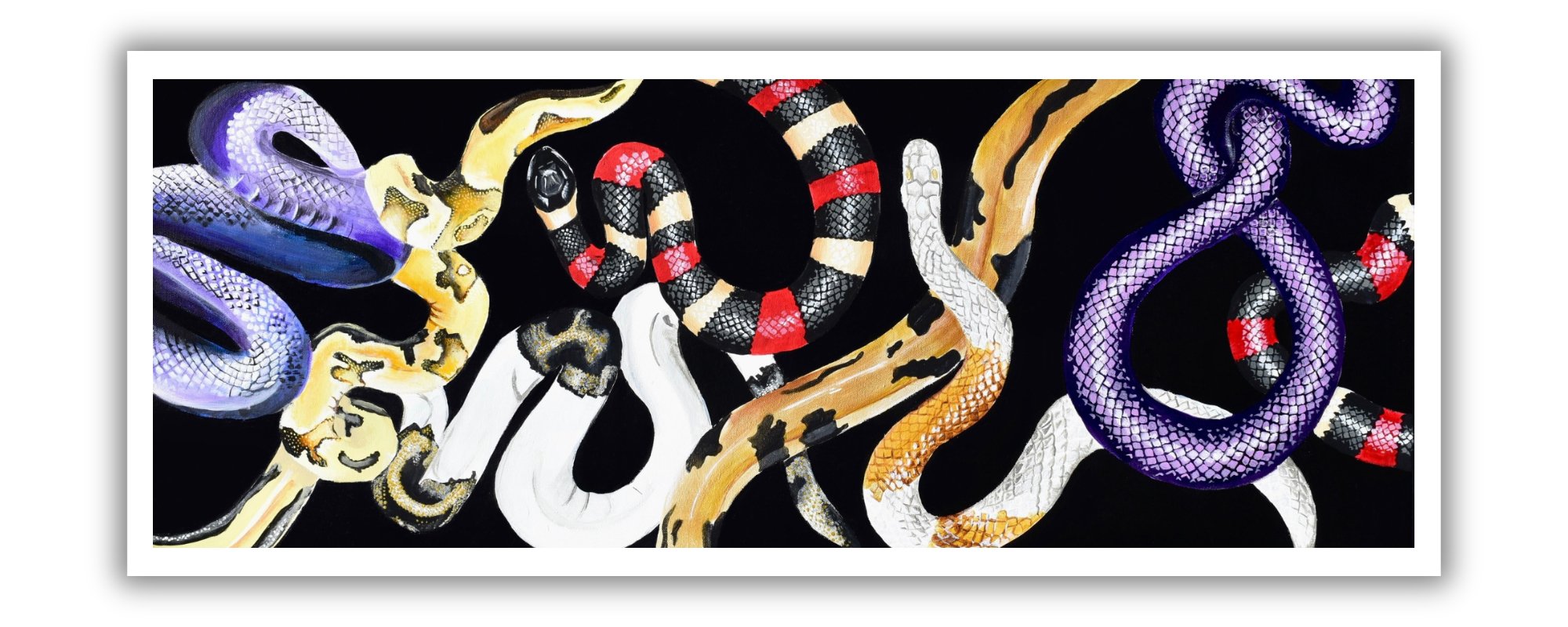 Serpent print border with drop shadow.jpg