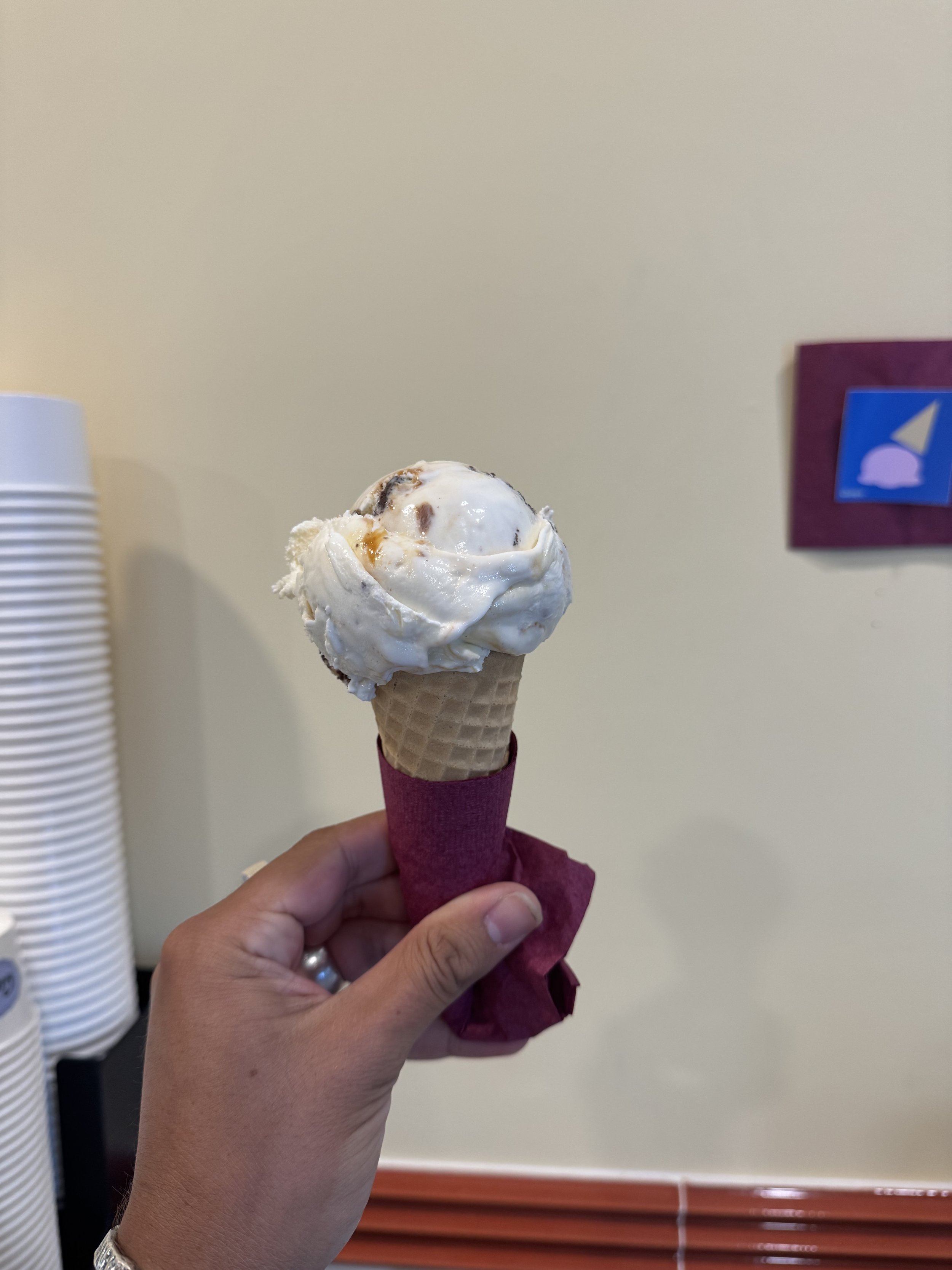 IMG_2655.JPEG
