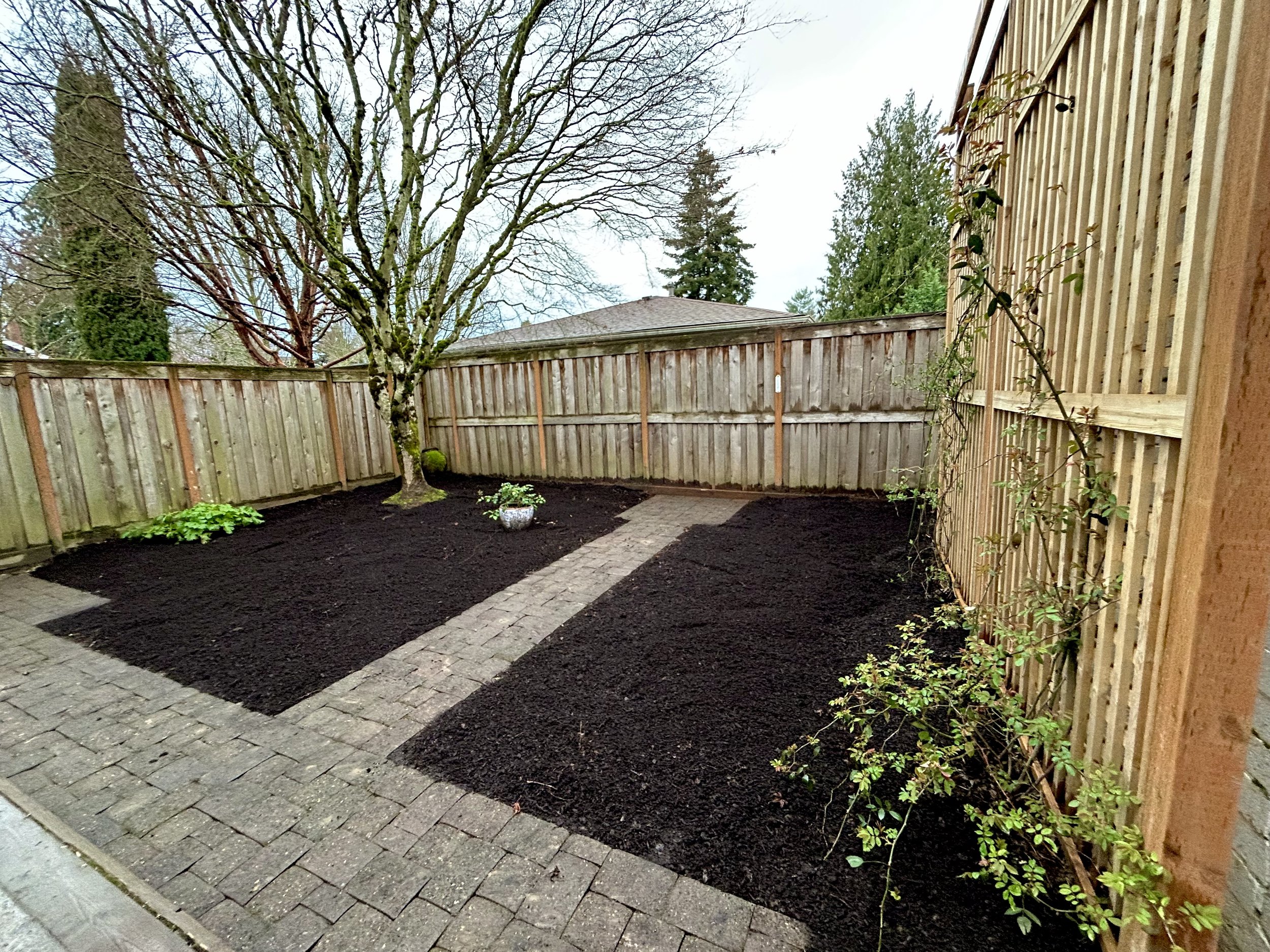 Brick Pathway, Spring 2025