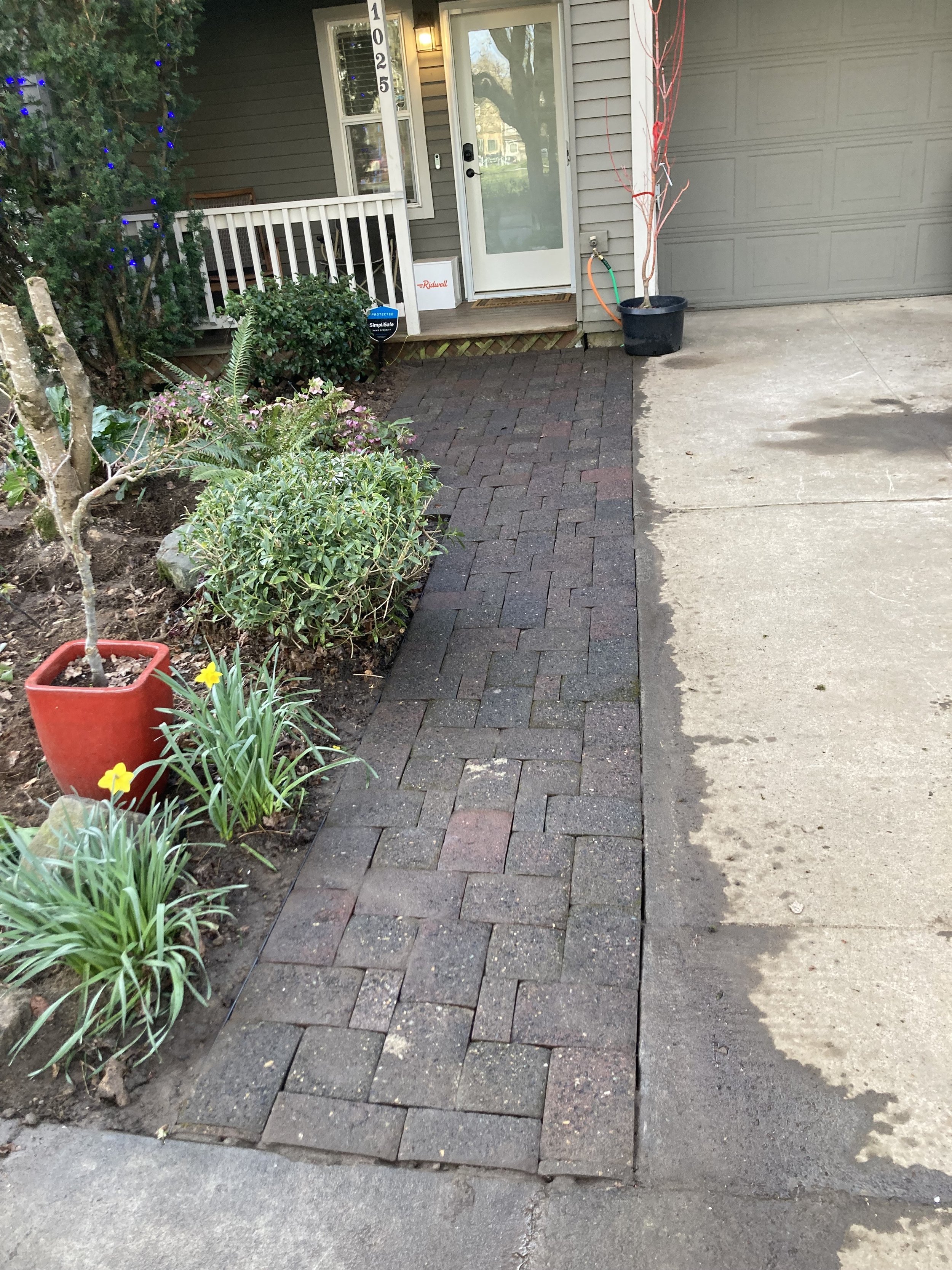 Brick Pathway, Spring 2025