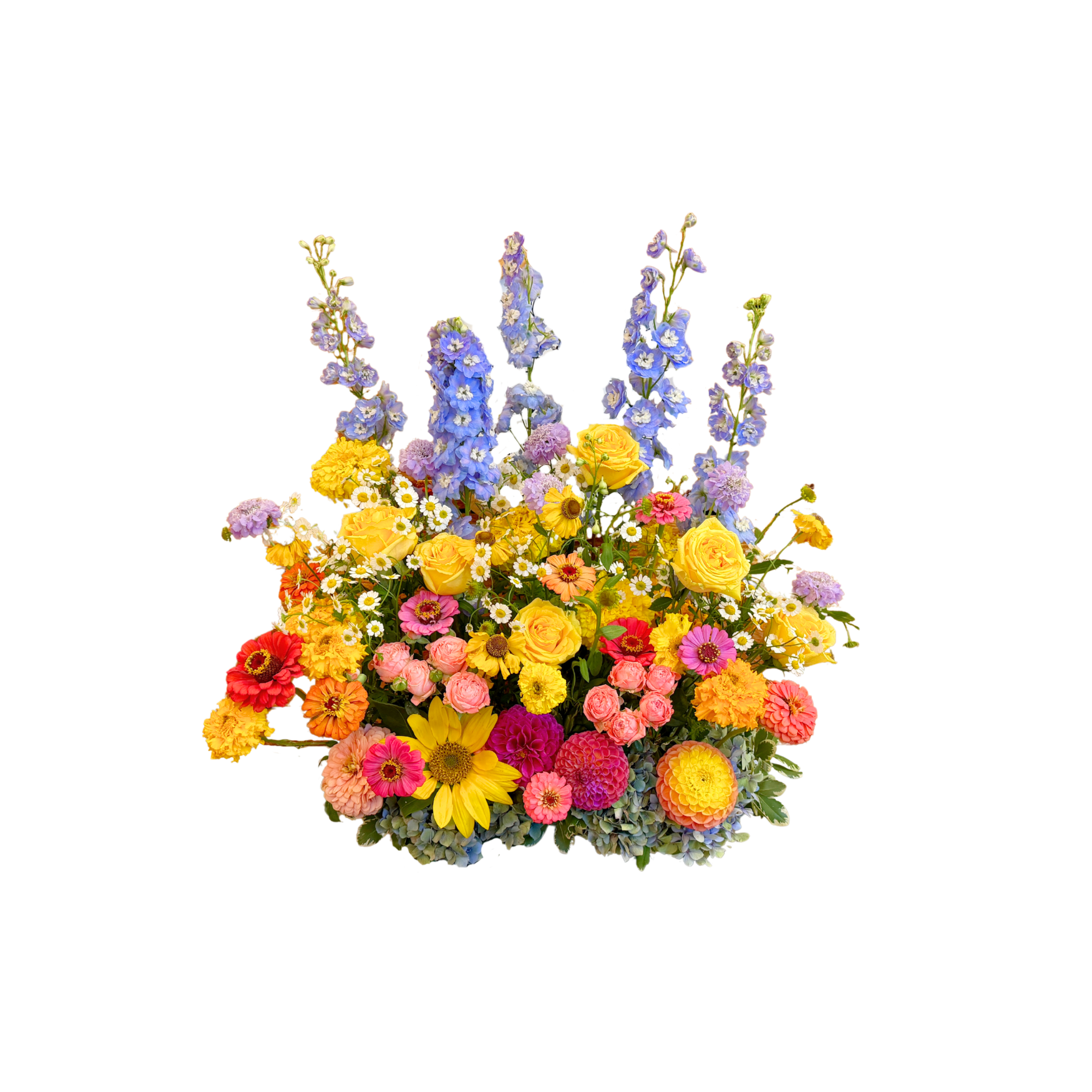 Flower Meadow