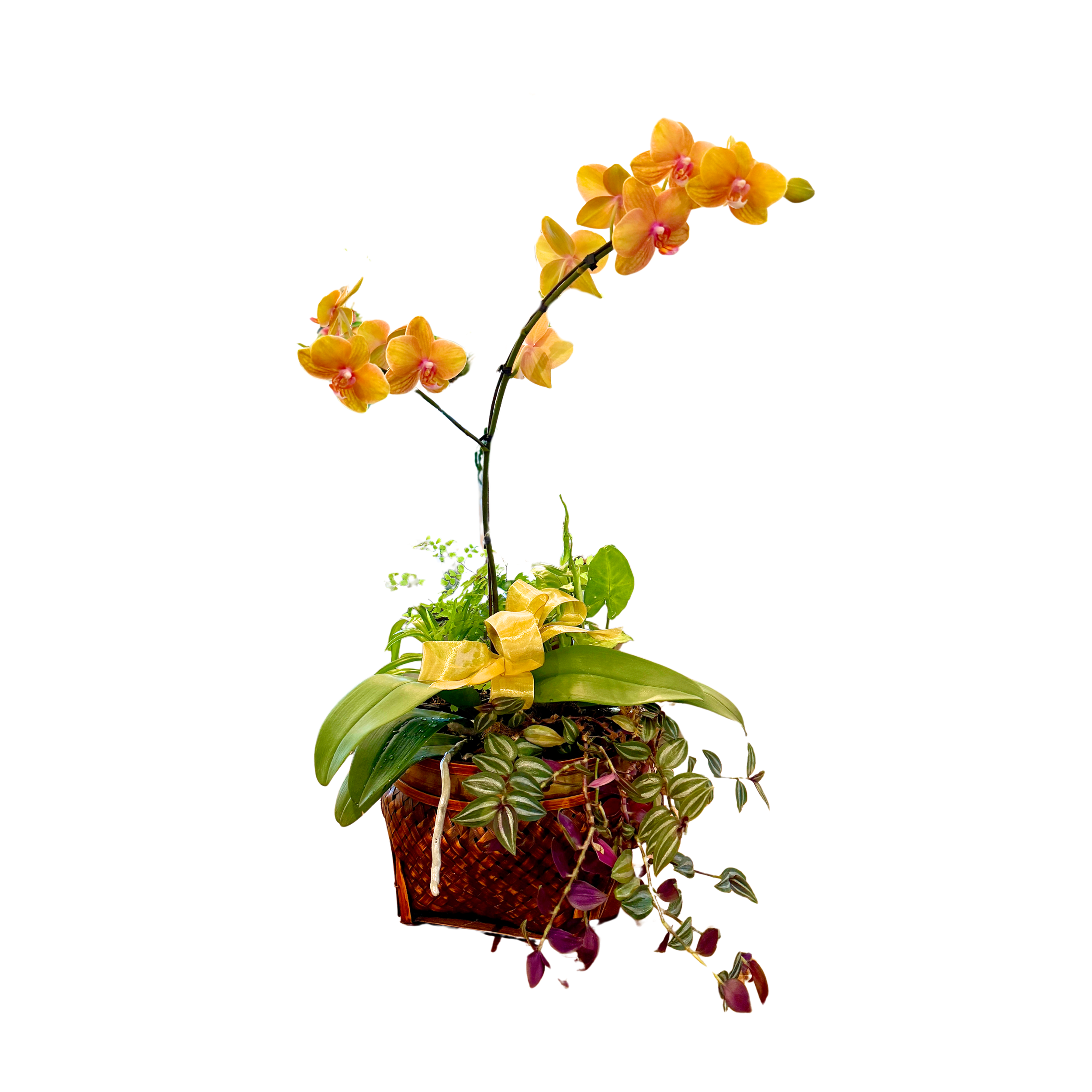 Untitled design-217.png