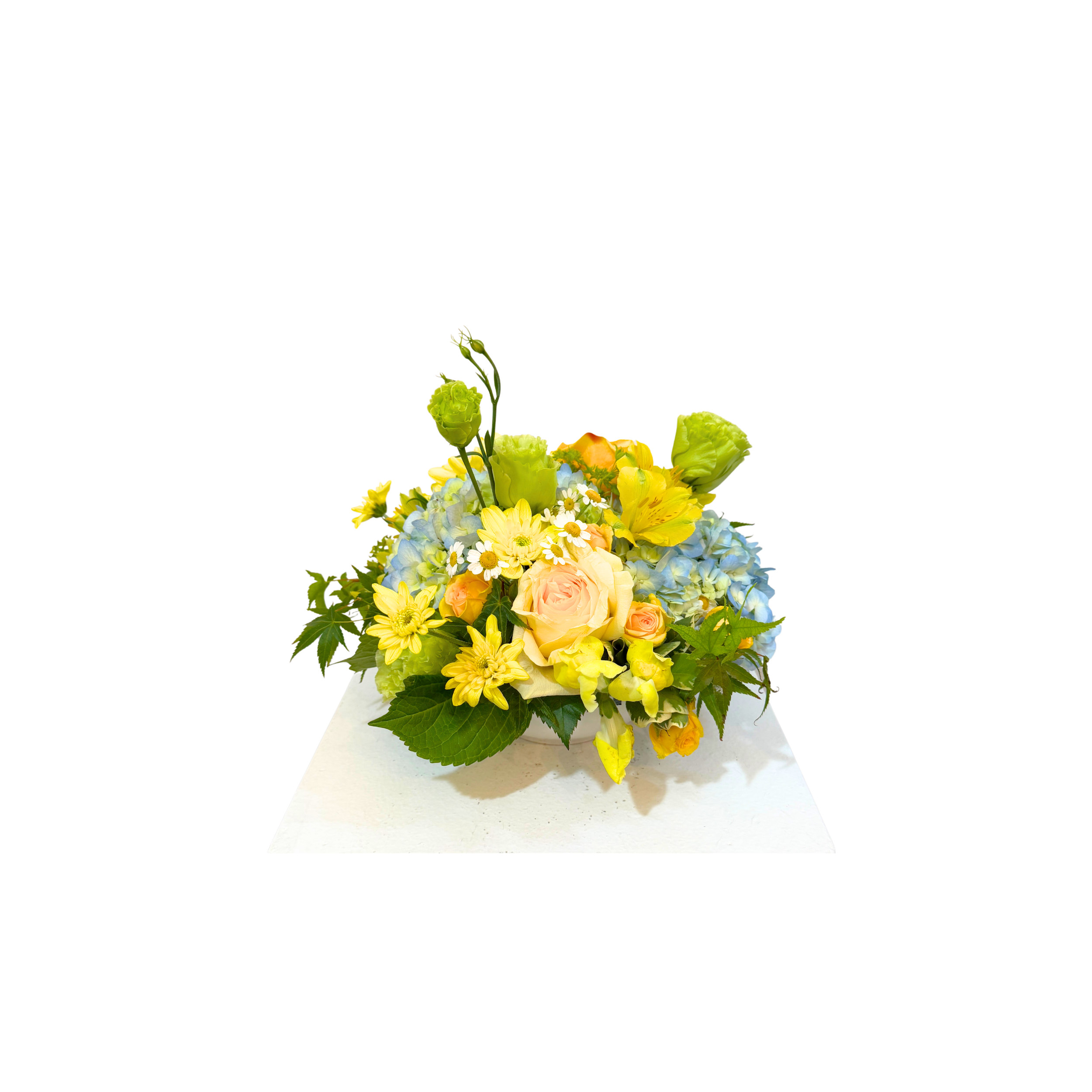 Untitled (8 x 6 in)-18.png