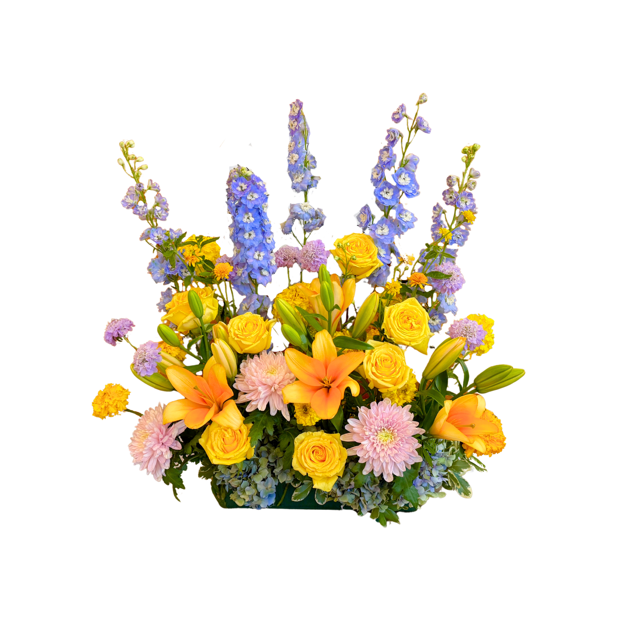 Untitled design-236.png